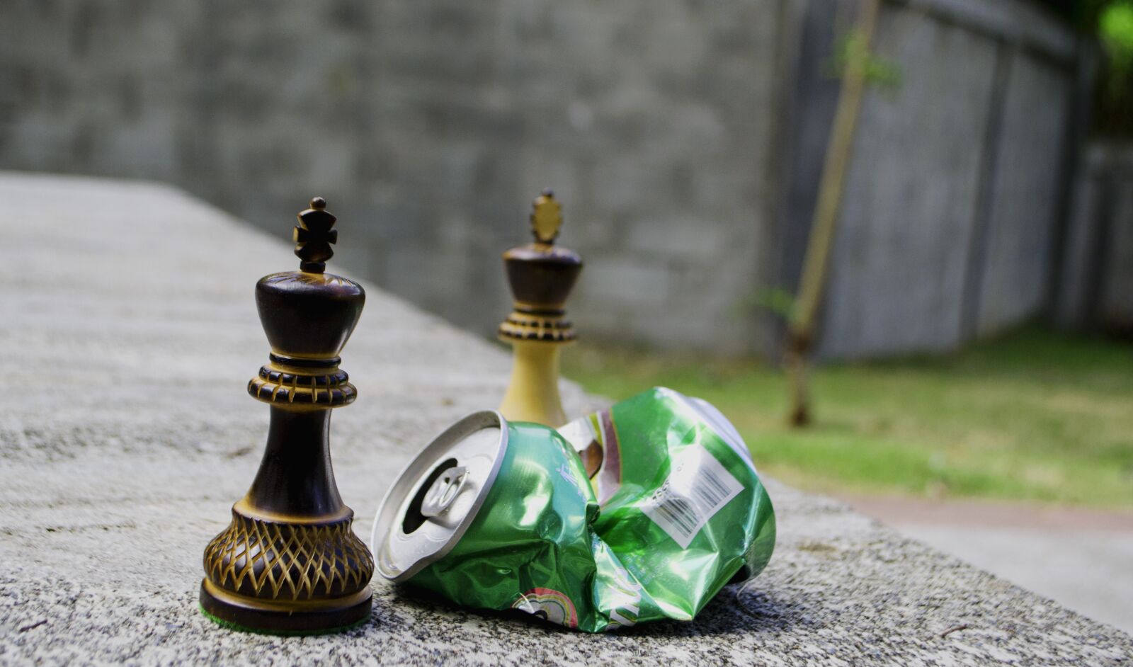 Nikon D3100 sample photo. Game, play, king photography