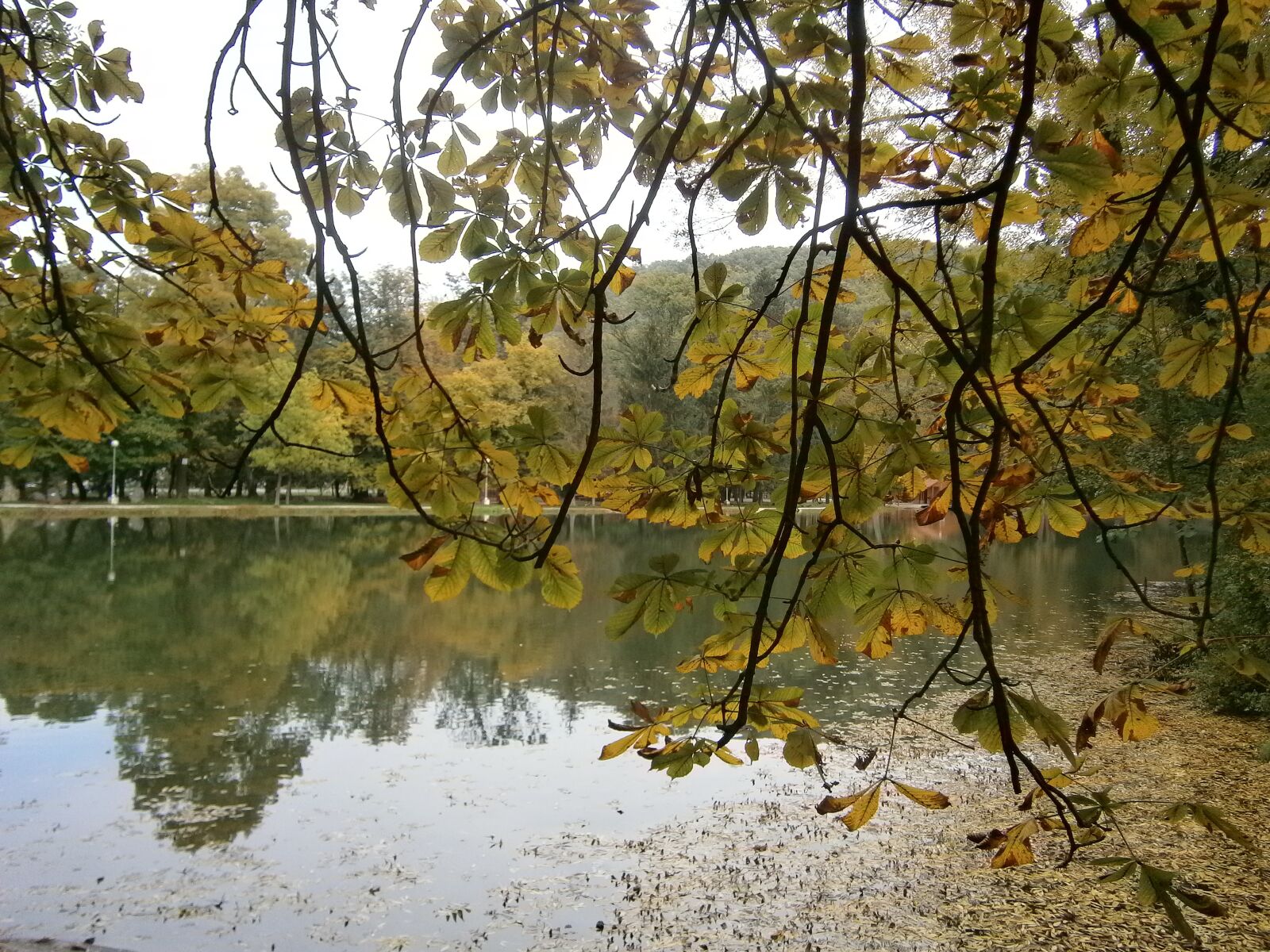 Olympus VG120,D705 sample photo. Nature, lake, water photography