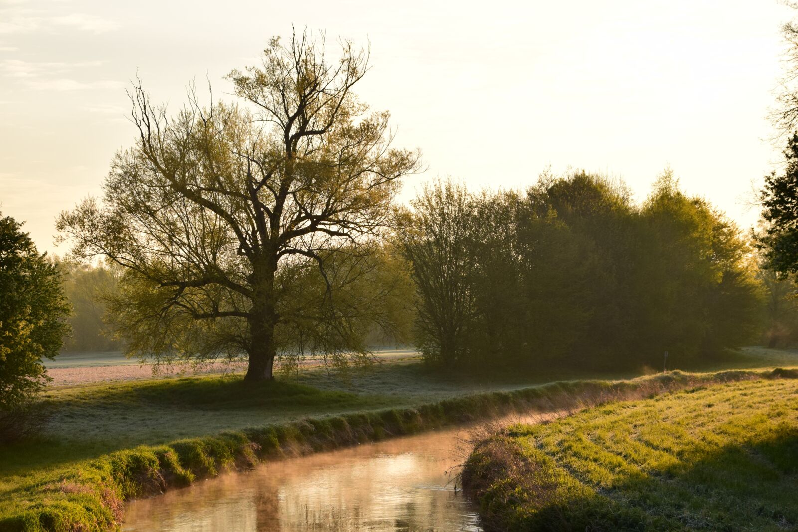 Nikon D3300 sample photo. River, morning, sunrise photography
