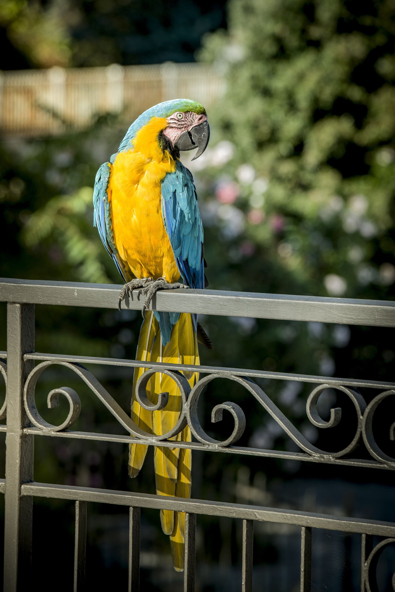 Nikon D610 sample photo. Nature, outdoors photography