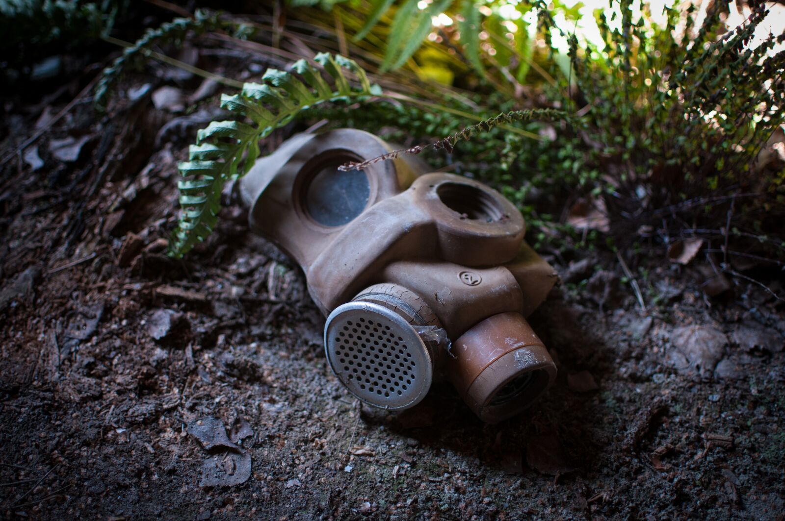 Nikon D300S sample photo. Nature, wood, gas mask photography