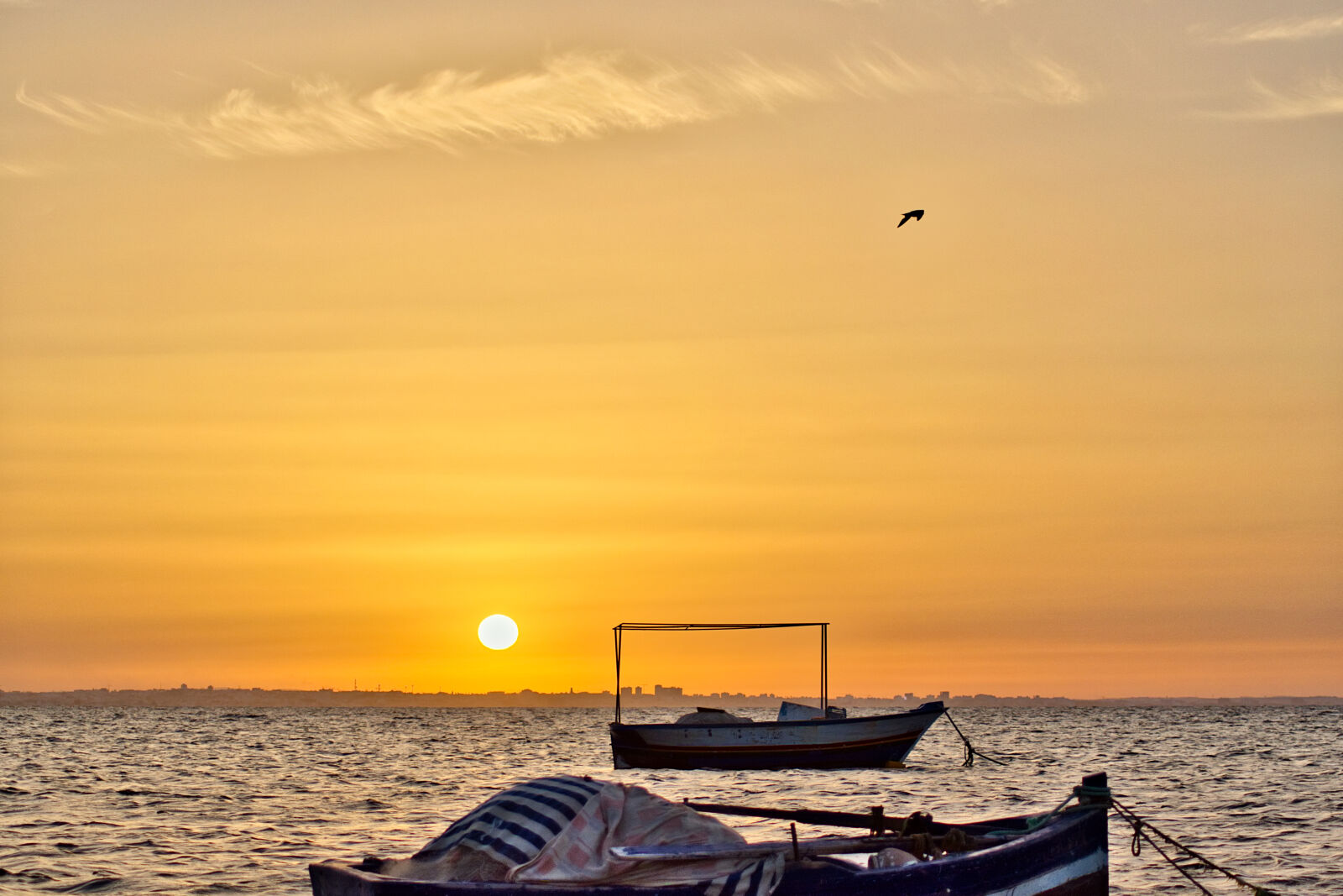 Nikon D5500 sample photo. Boats, deep, sea, golden photography