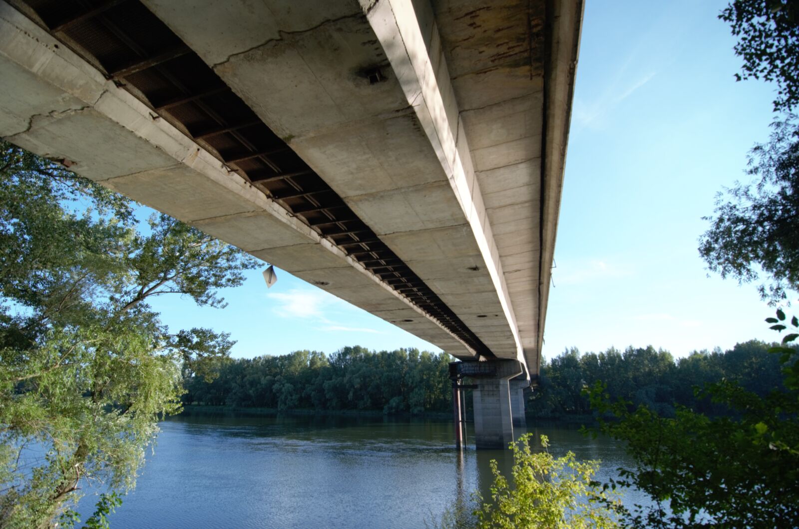Nikon D5100 sample photo. Bridgedriver photography