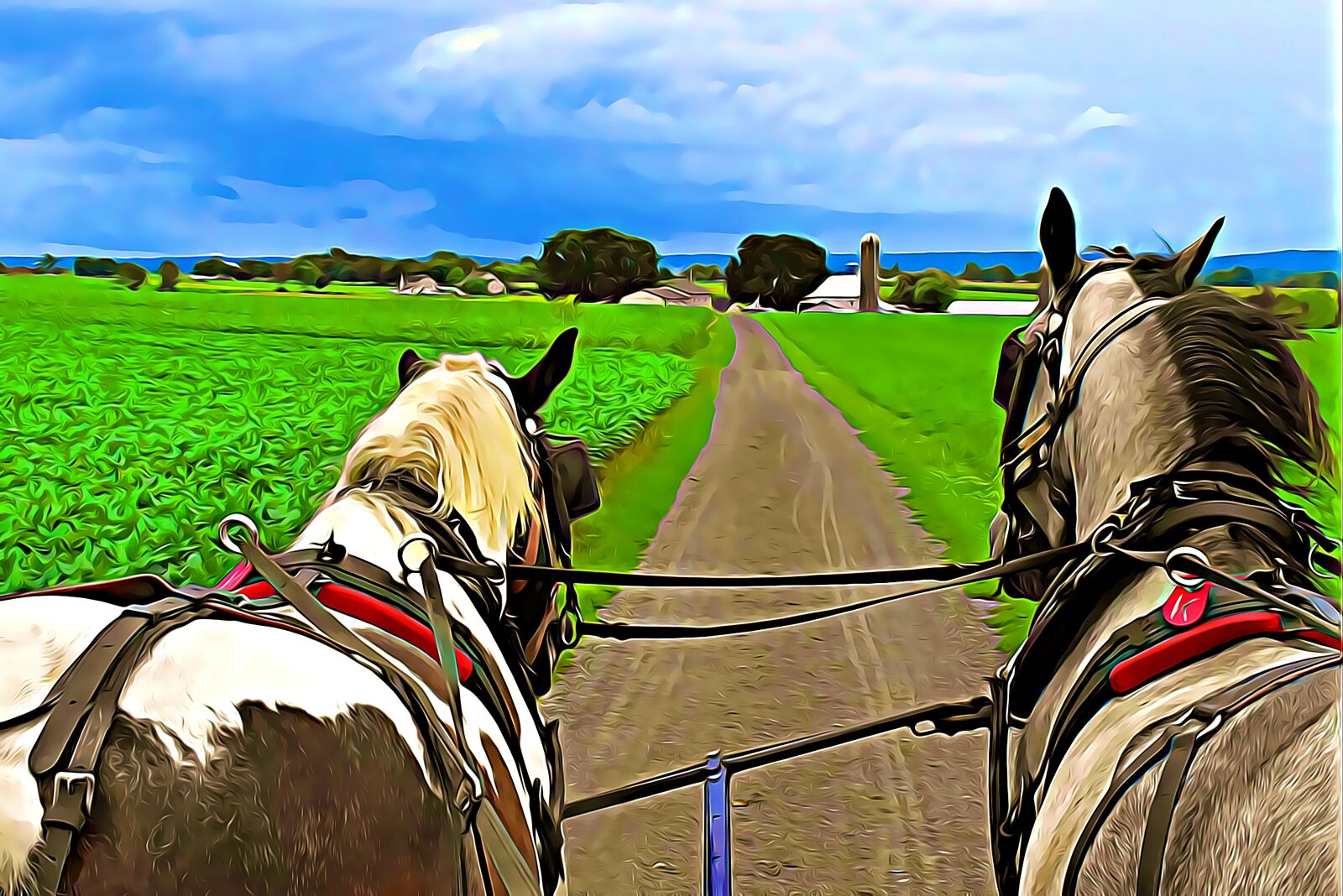 Nikon D5600 sample photo. Amish, horse and buggy photography