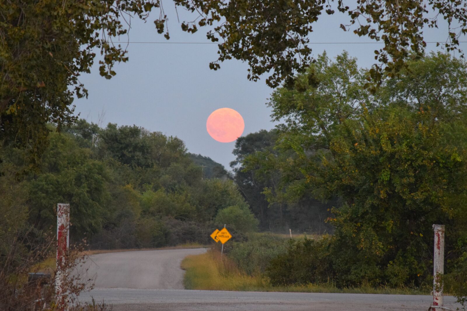 Nikon D3300 sample photo. Moon, country road, rural photography