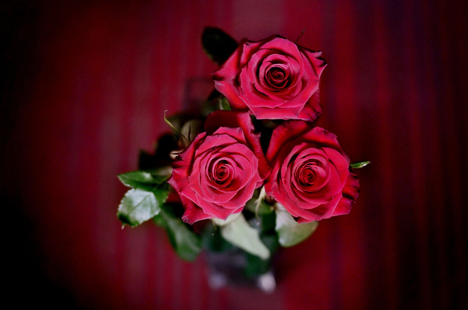 Nikon D7000 sample photo. Roses, red roses, bouquet photography