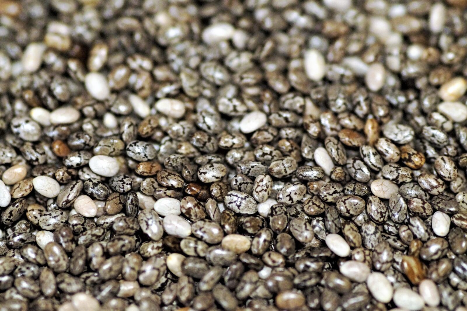 Sony SLT-A58 sample photo. Chia, seeds, healthy photography