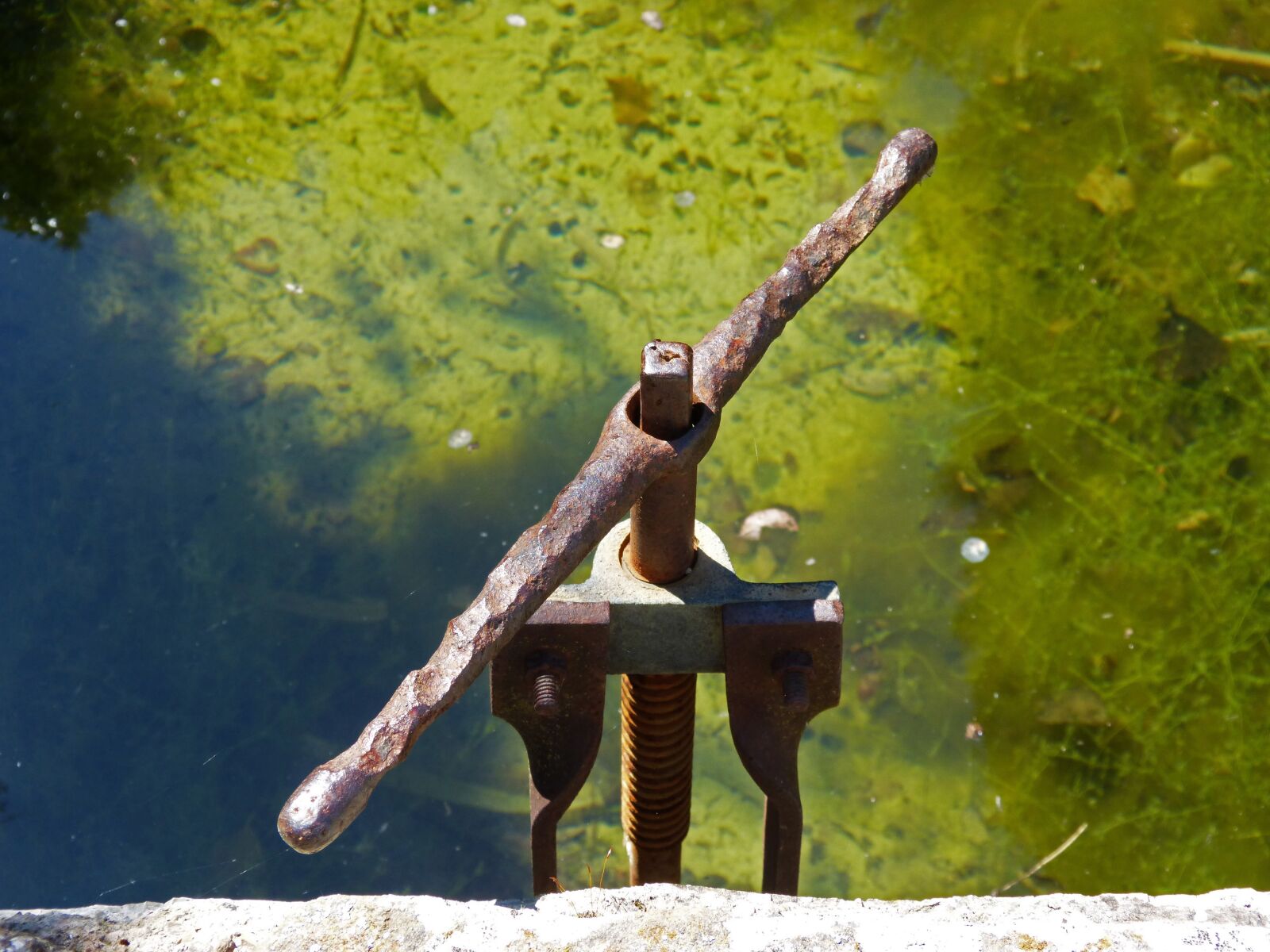 Panasonic DMC-FZ62 sample photo. Raft, orchard, iron photography