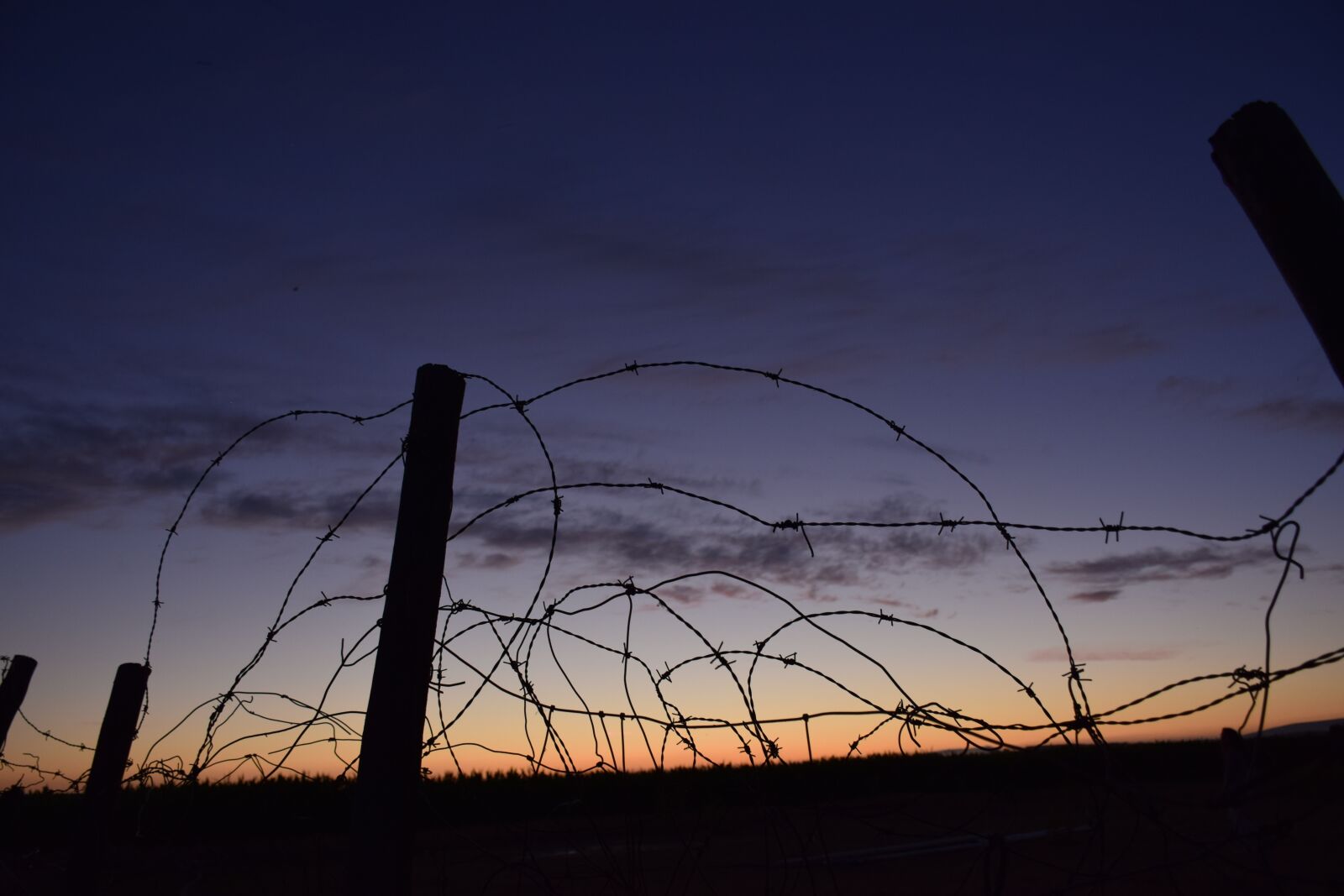 Nikon D5300 sample photo. Barbed wire, wire, about photography