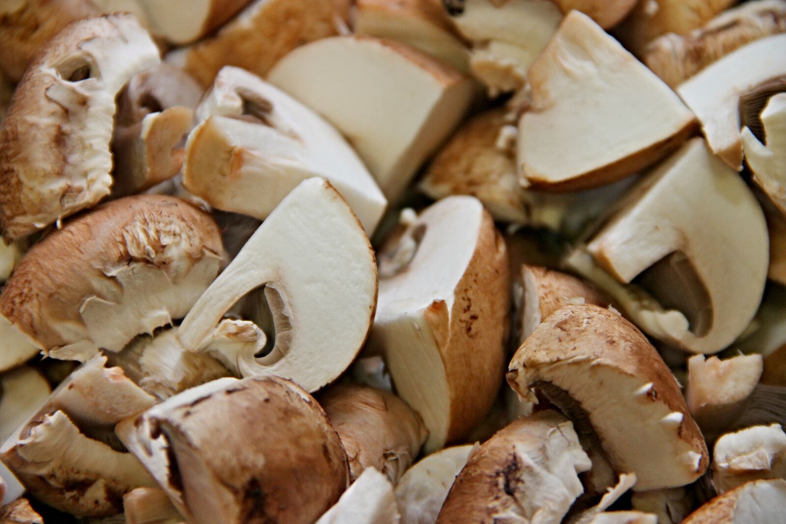 Canon EOS 1100D (EOS Rebel T3 / EOS Kiss X50) sample photo. Mushrooms, cut, pieces photography