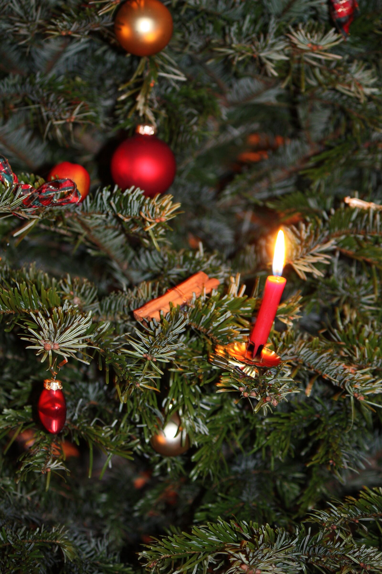 Canon EOS 450D (EOS Rebel XSi / EOS Kiss X2) sample photo. Christmas, christmas ornaments photography