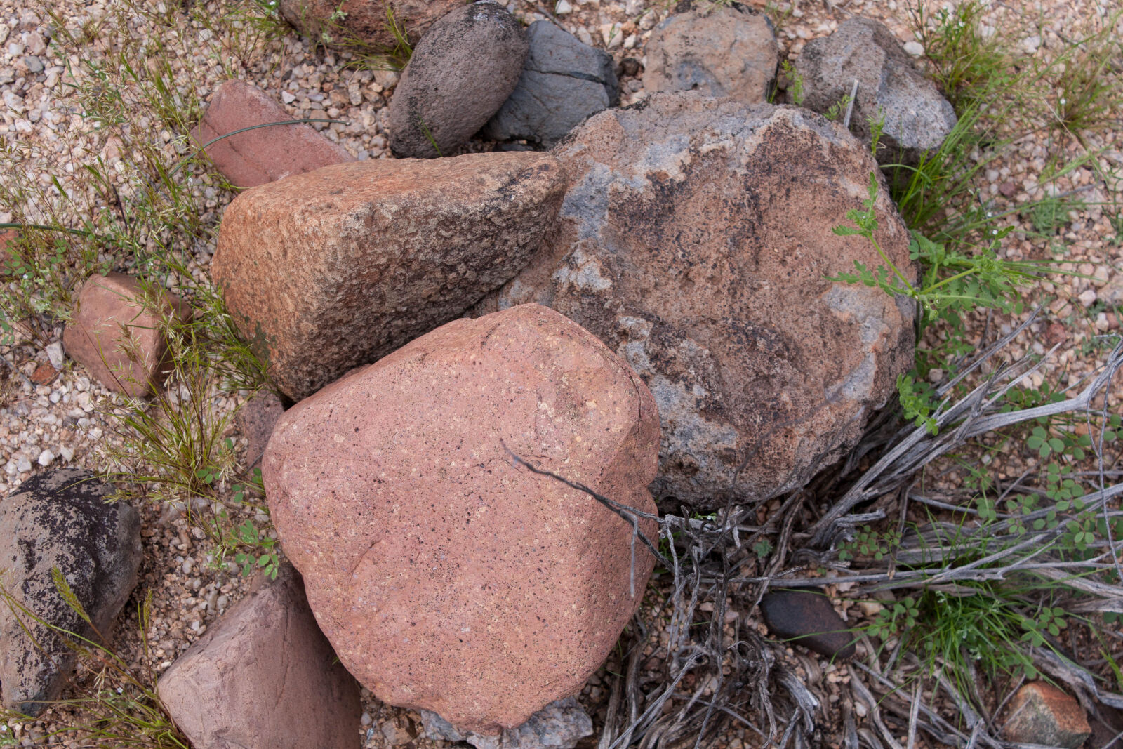 Canon EOS 450D (EOS Rebel XSi / EOS Kiss X2) + Canon EF-S 18-55mm F3.5-5.6 IS sample photo. Arizona, desert, rocks, stones photography