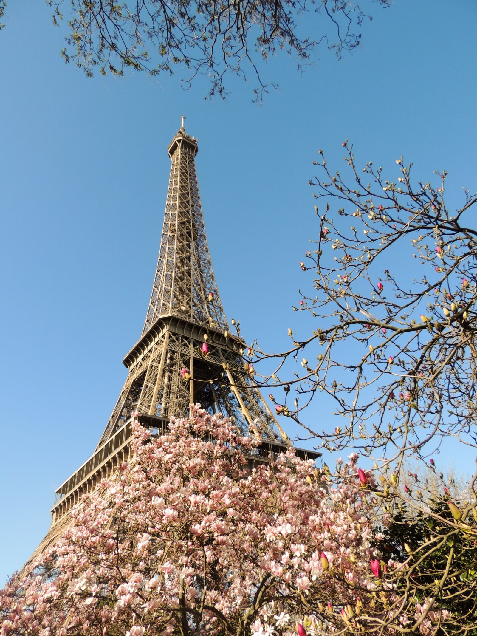 Nikon Coolpix P510 sample photo. Paris, eiffel tower, france photography