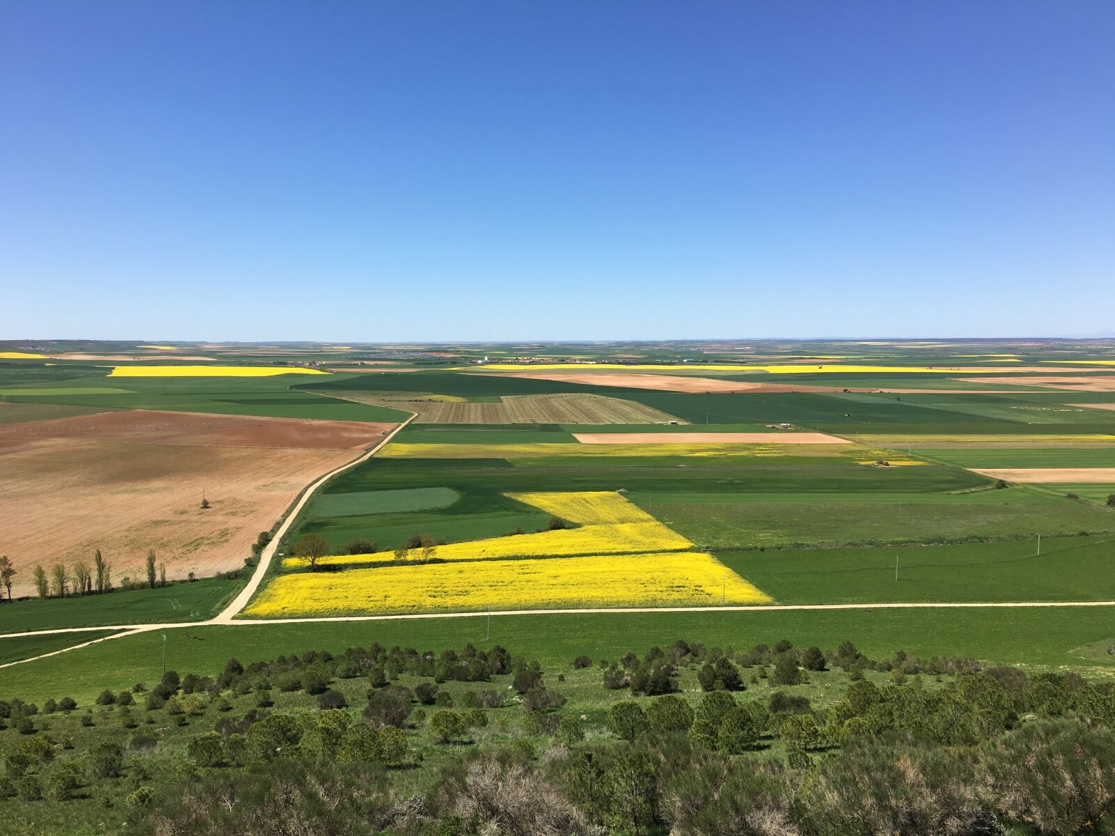 Apple iPhone 6s Plus sample photo. Landscape, field, nature photography