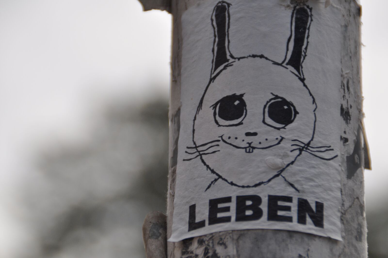 Nikon D5000 sample photo. Berlin, street art, art photography
