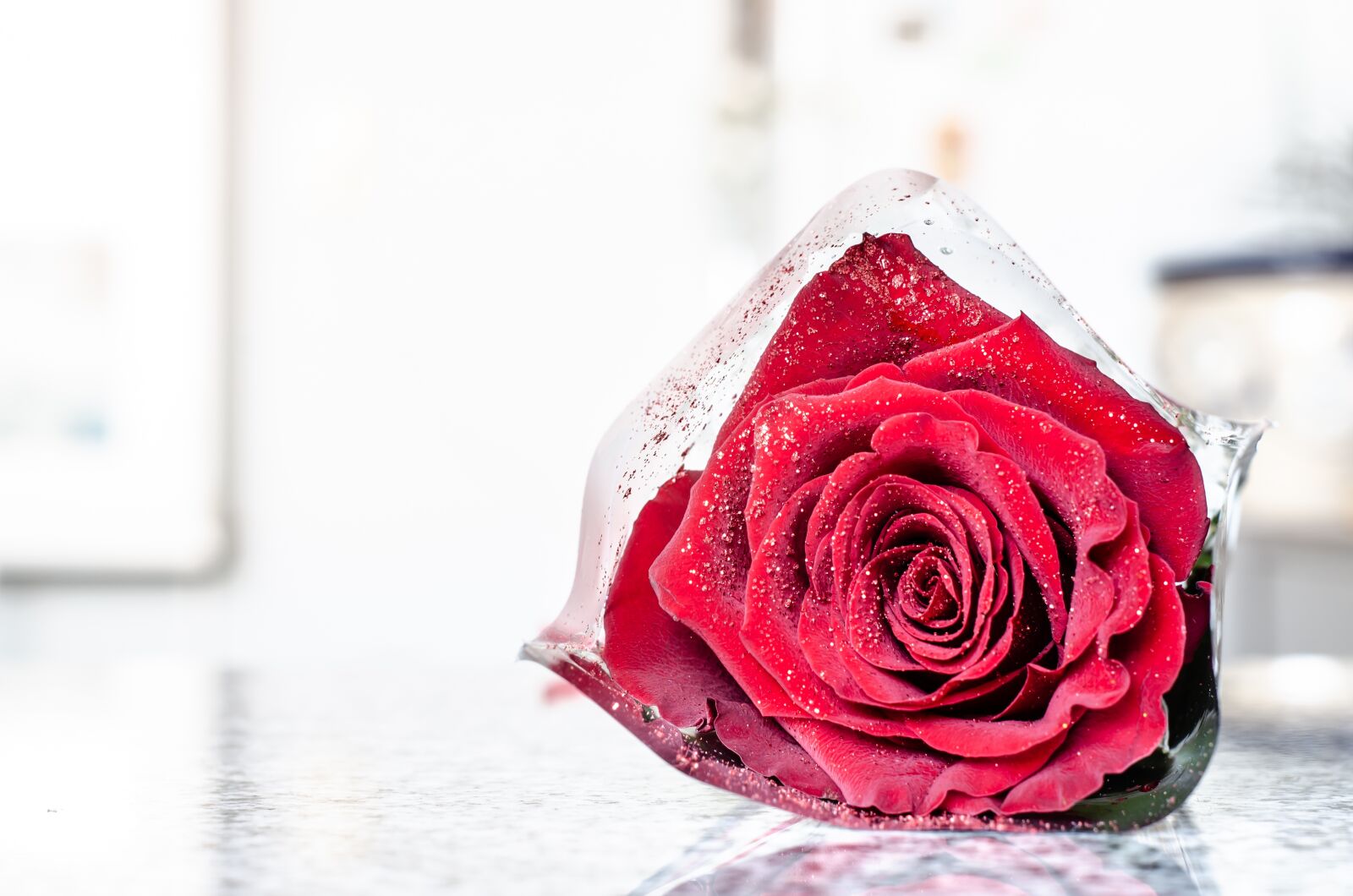 Nikon D7000 sample photo. Rosa, flowers, reflection photography