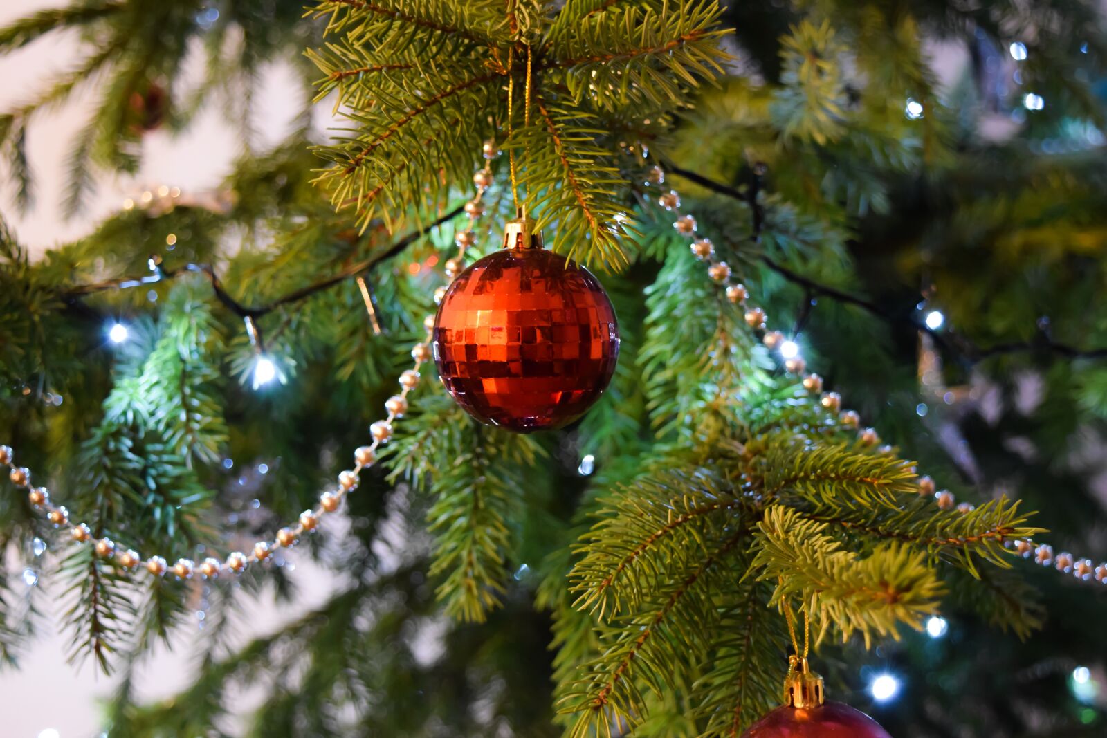 Nikon D5300 sample photo. Red, baubels, hang, on photography