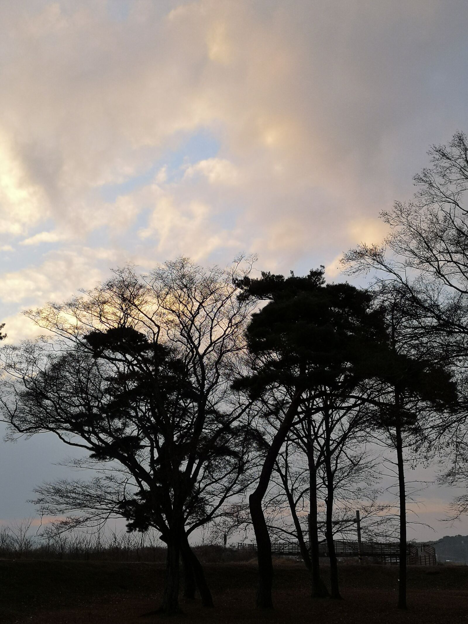 HUAWEI CLT-L29 sample photo. Sky, nature, landscape photography
