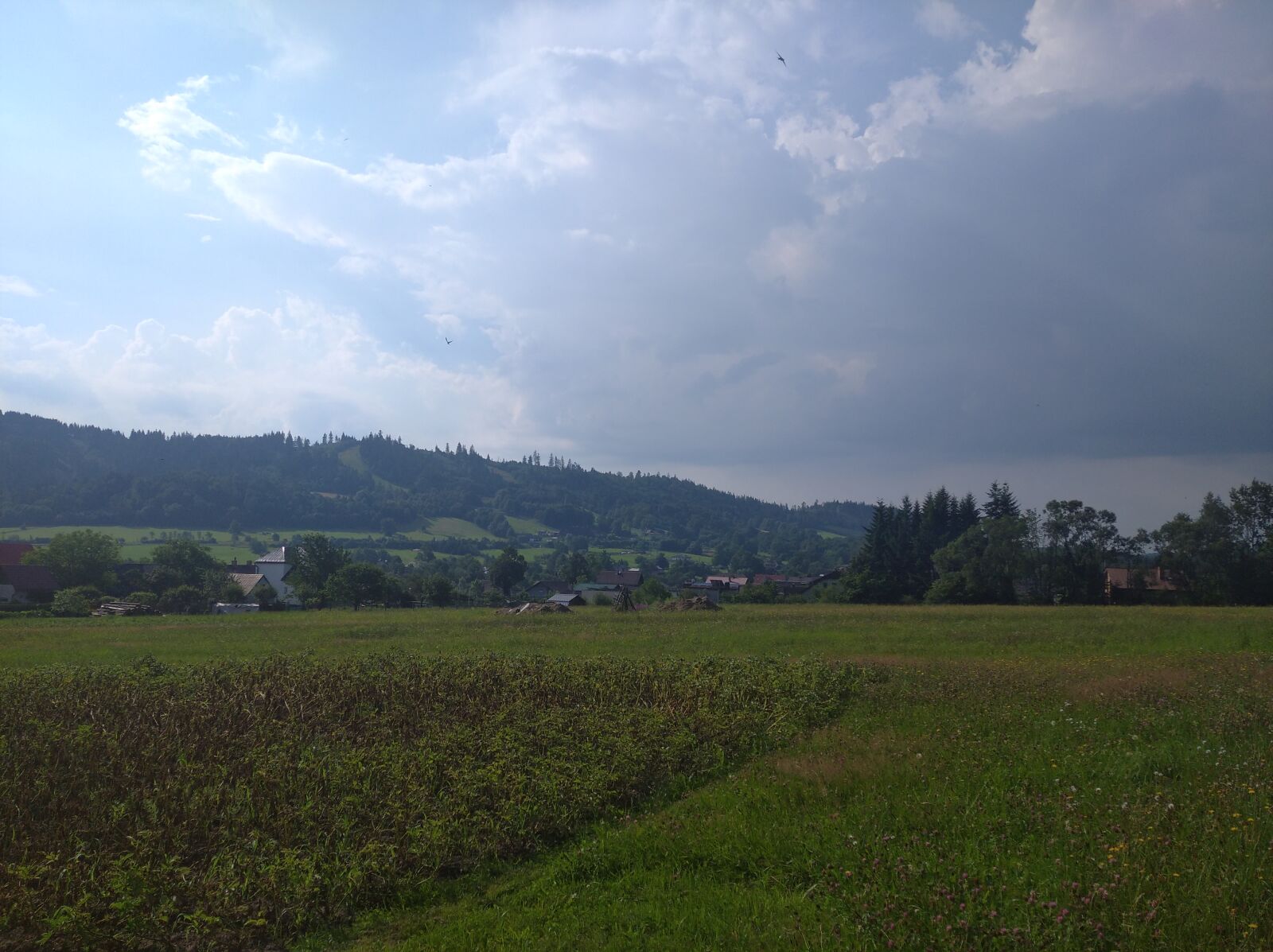 Xiaomi Redmi 8 sample photo