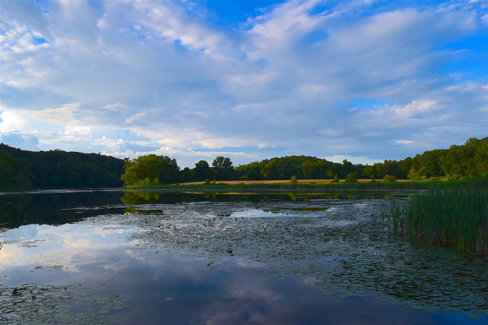 Nikon D3300 sample photo. Lake, sky, reflection photography