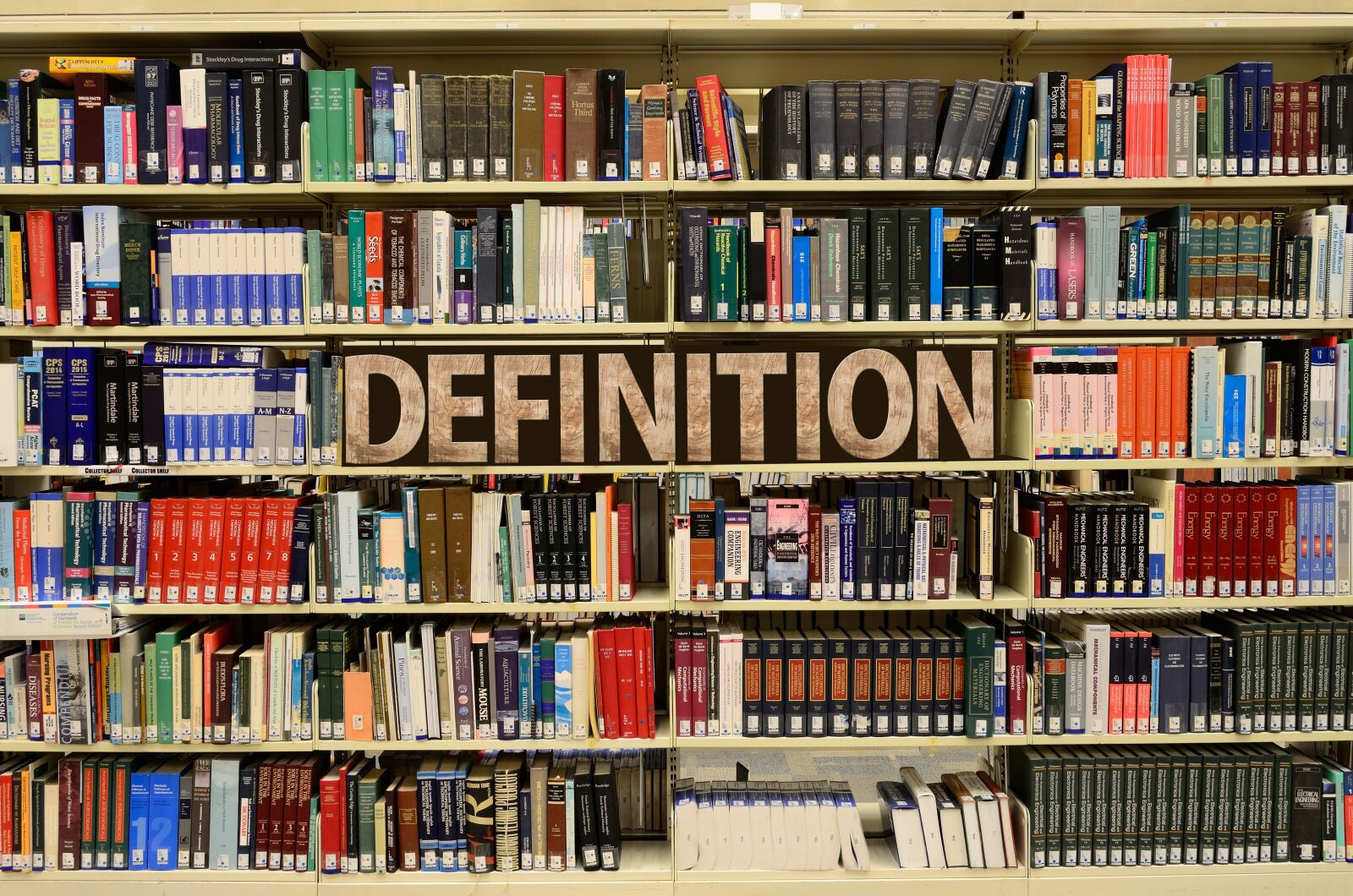 Nikon D5100 sample photo. Definition, books, library photography
