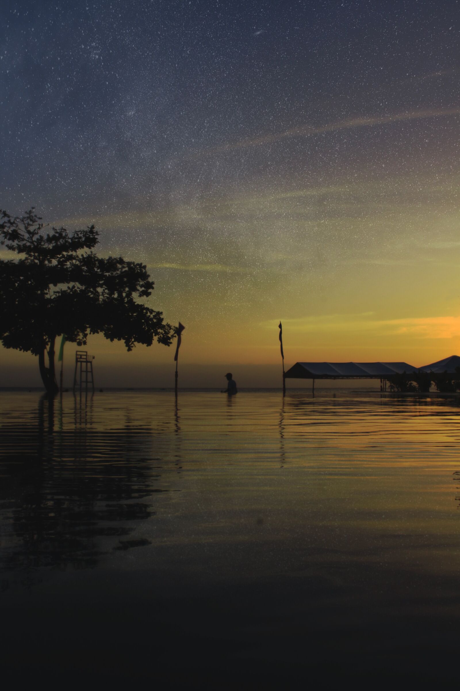 Canon EOS 700D (EOS Rebel T5i / EOS Kiss X7i) sample photo. Stars, water, tree photography