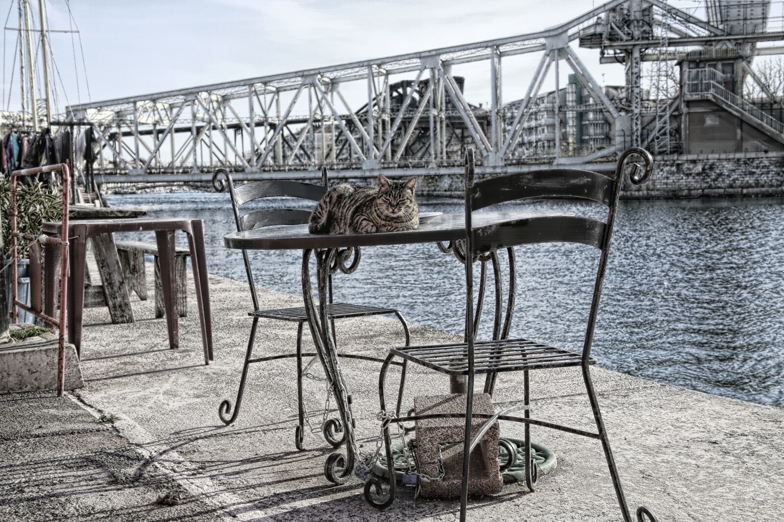 Canon EOS 5D Mark III sample photo. Cat, outside, animal photography