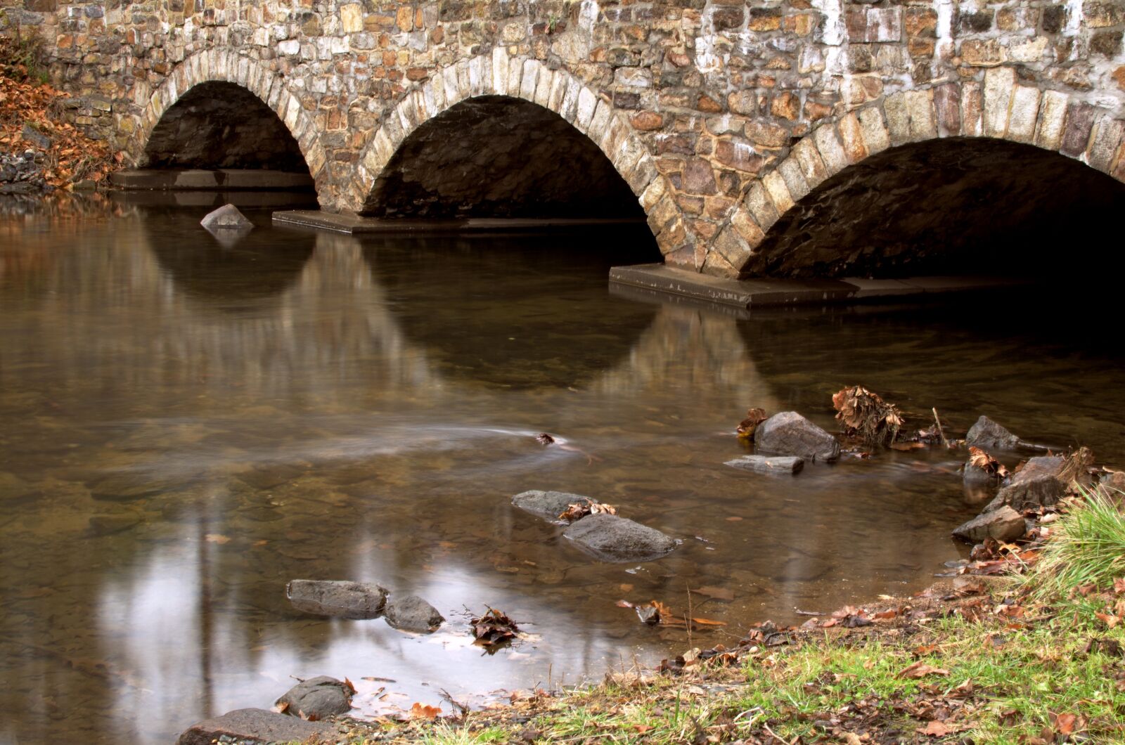 Nikon D5100 sample photo. Leaves, river, rocks photography