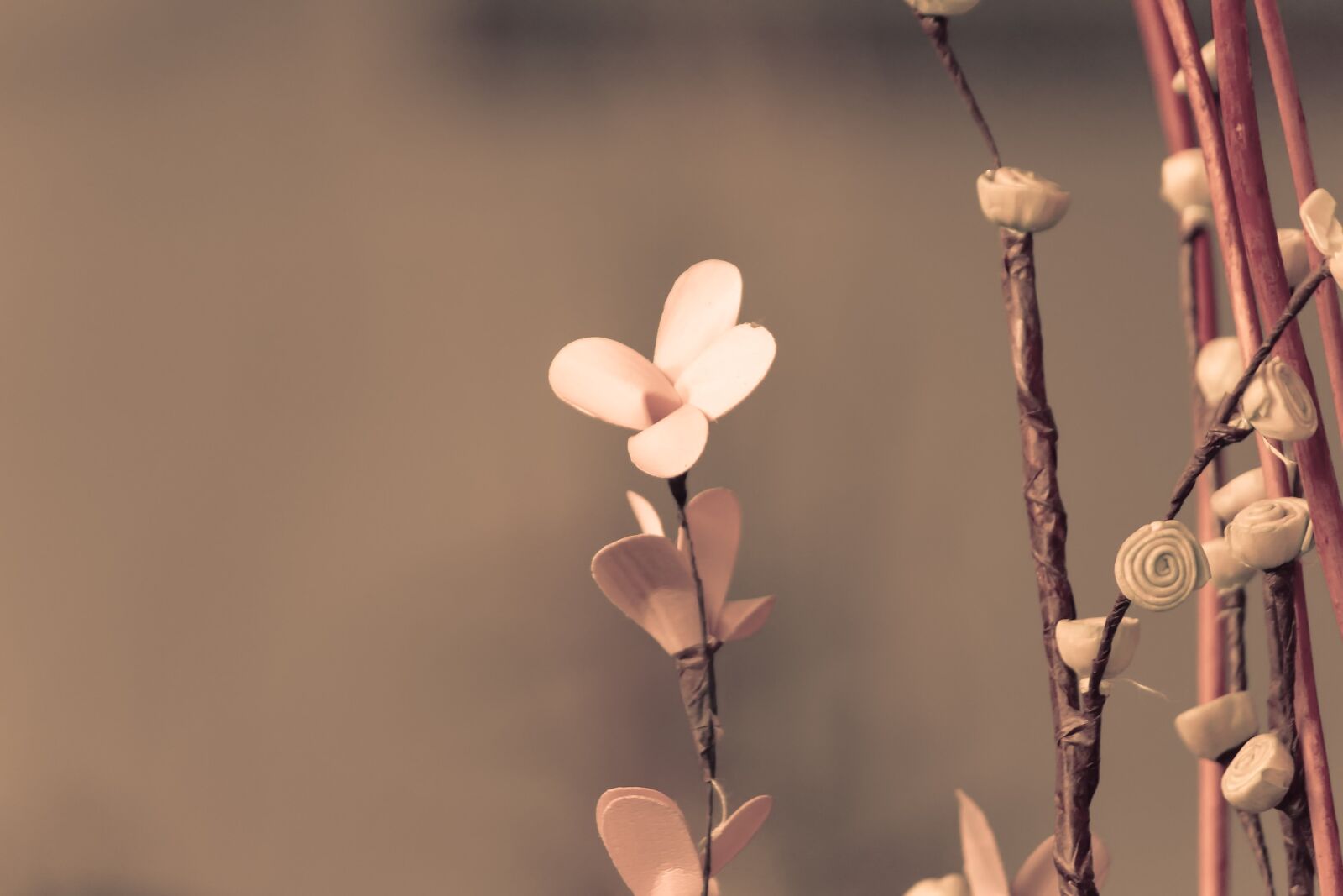 Canon EF-S 55-250mm F4-5.6 IS II sample photo. Flower, artificial flower, beautiful photography