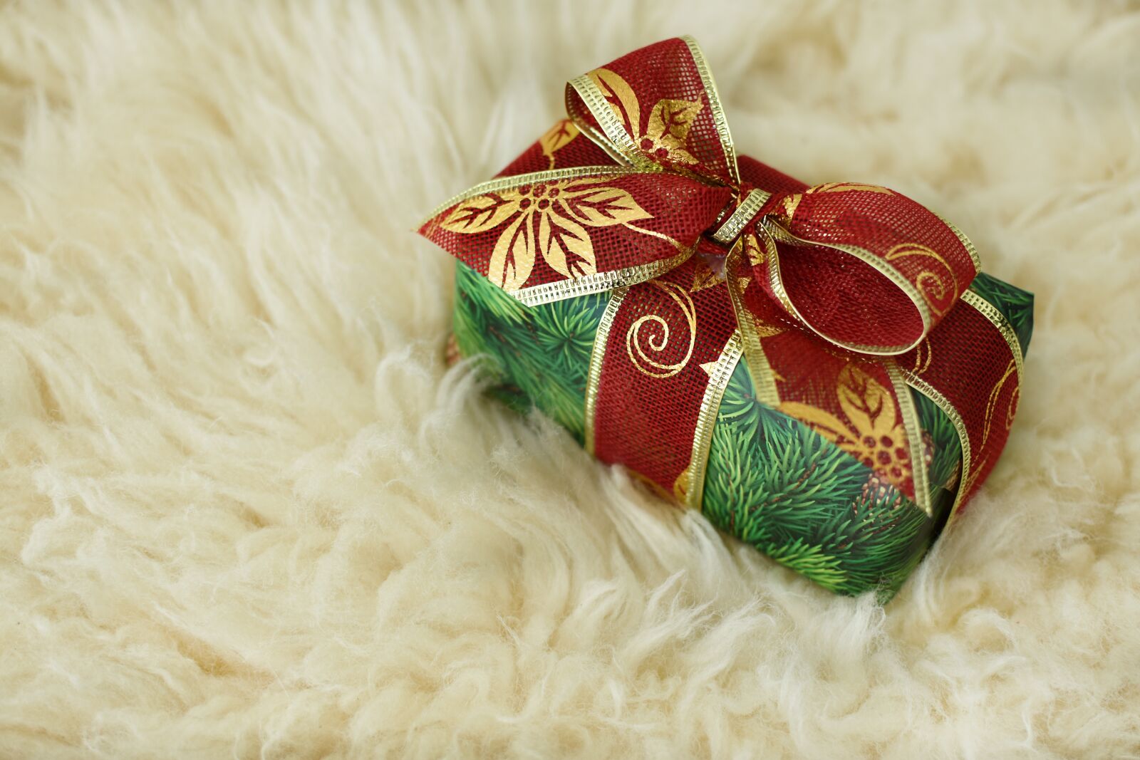 Nikon D3400 sample photo. Toy, bear, christmas photography