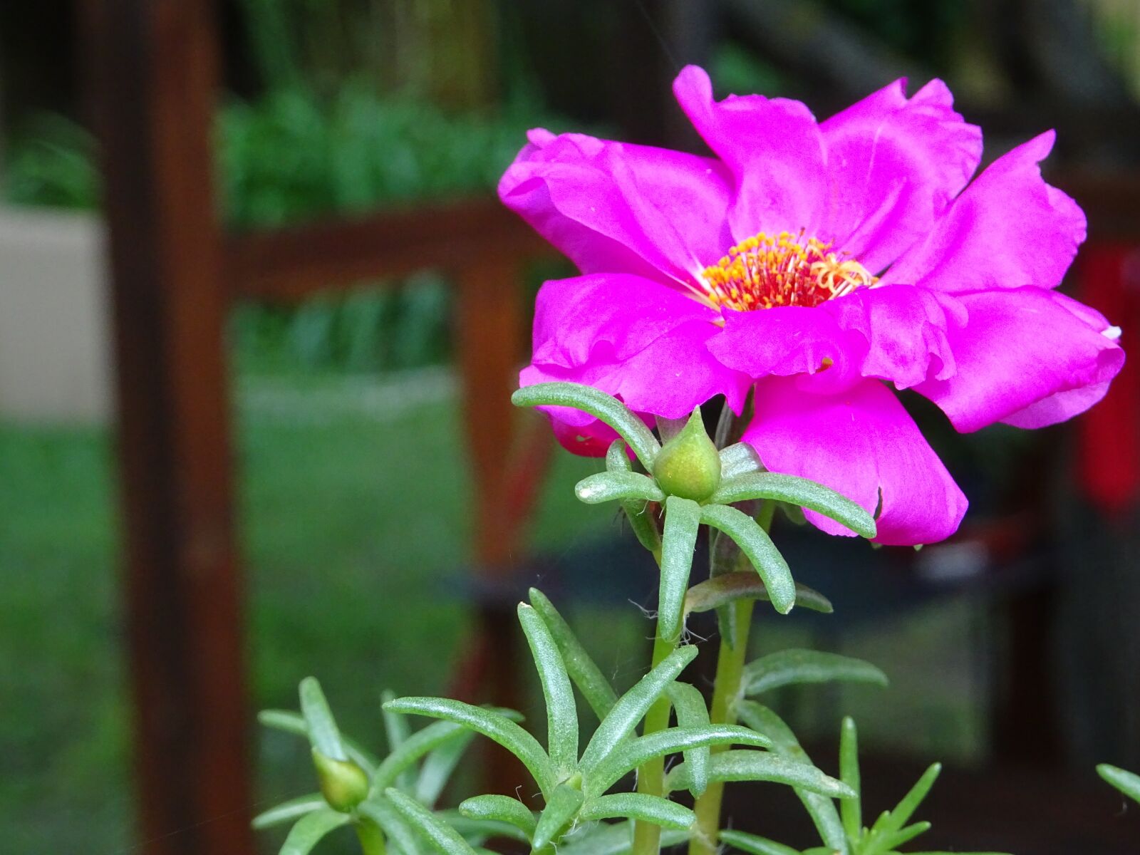 Sony DSC-HX60 sample photo. Summer, nature, water photography