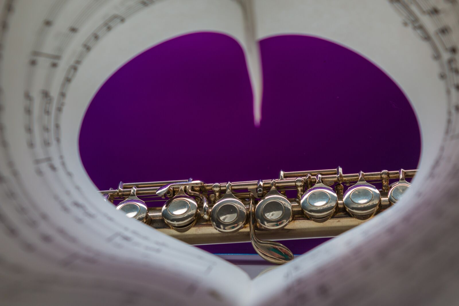 Canon EOS 70D sample photo. Flute, musical instrument, silver photography