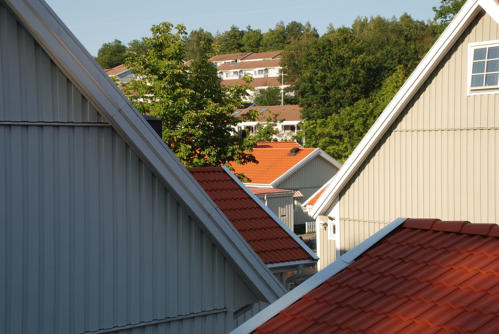Nikon D80 sample photo. Housing, roof, facade photography
