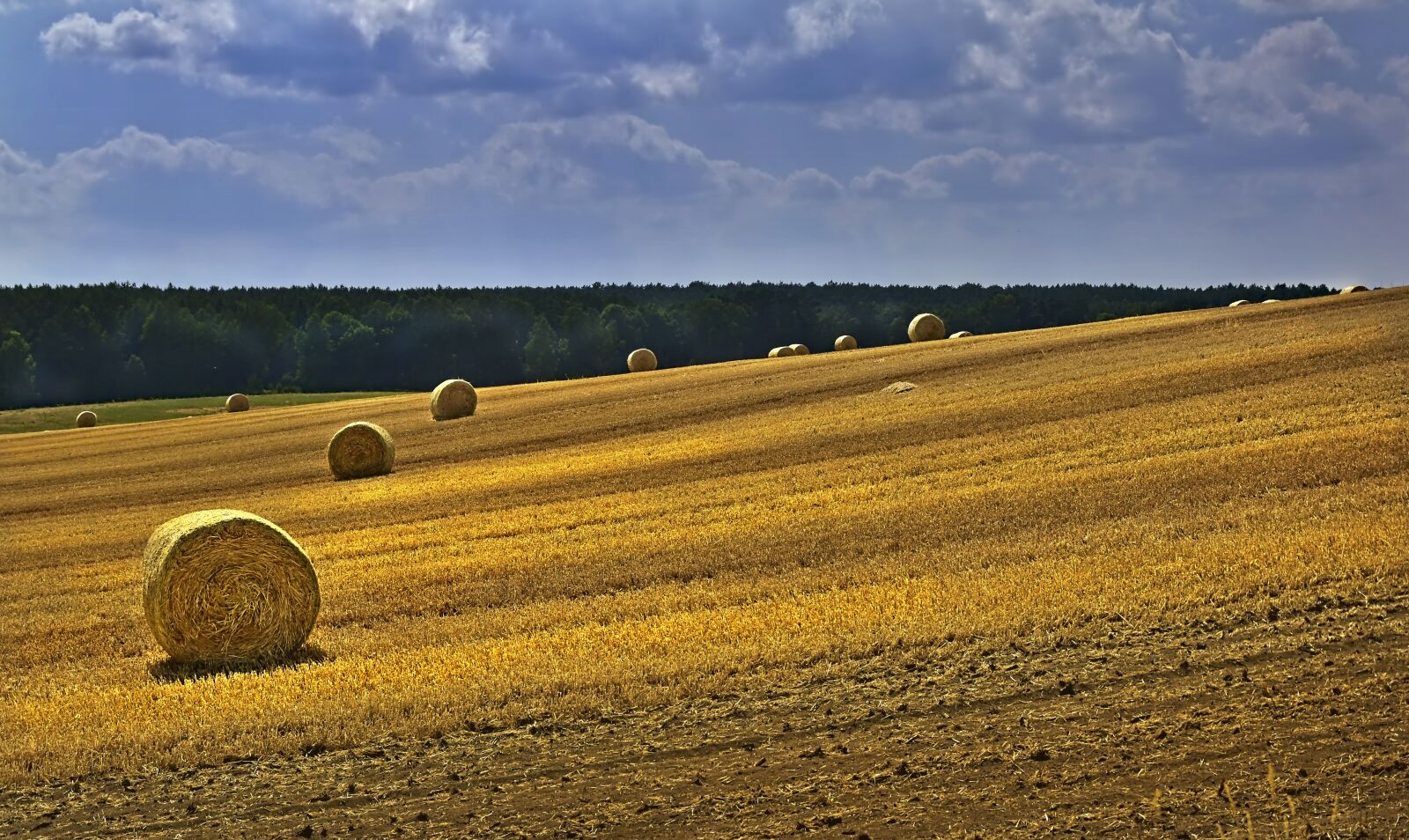 Nikon D5600 sample photo. Straw bales, straw rolls photography