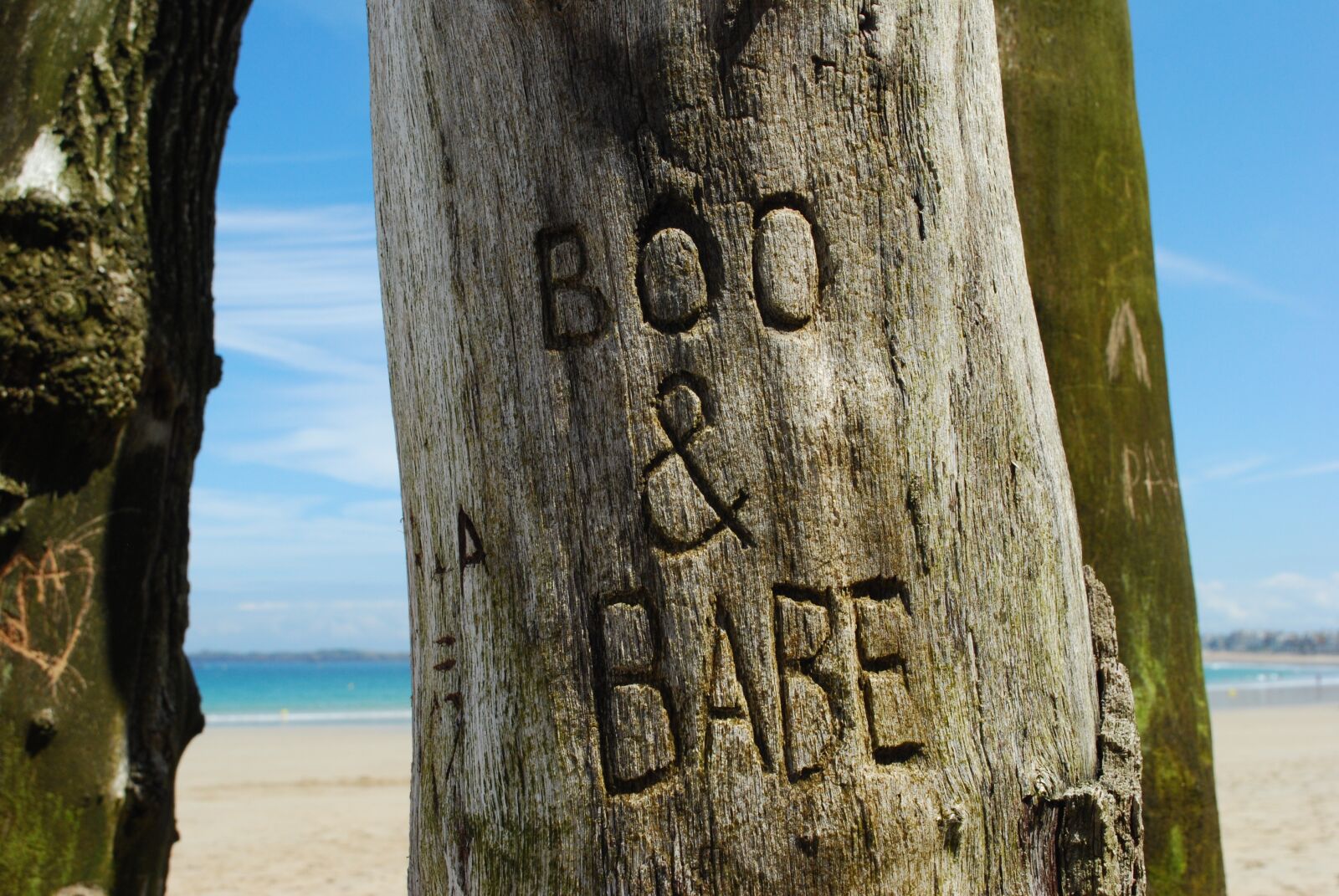 Nikon D60 sample photo. Saint-malo, sea, france photography
