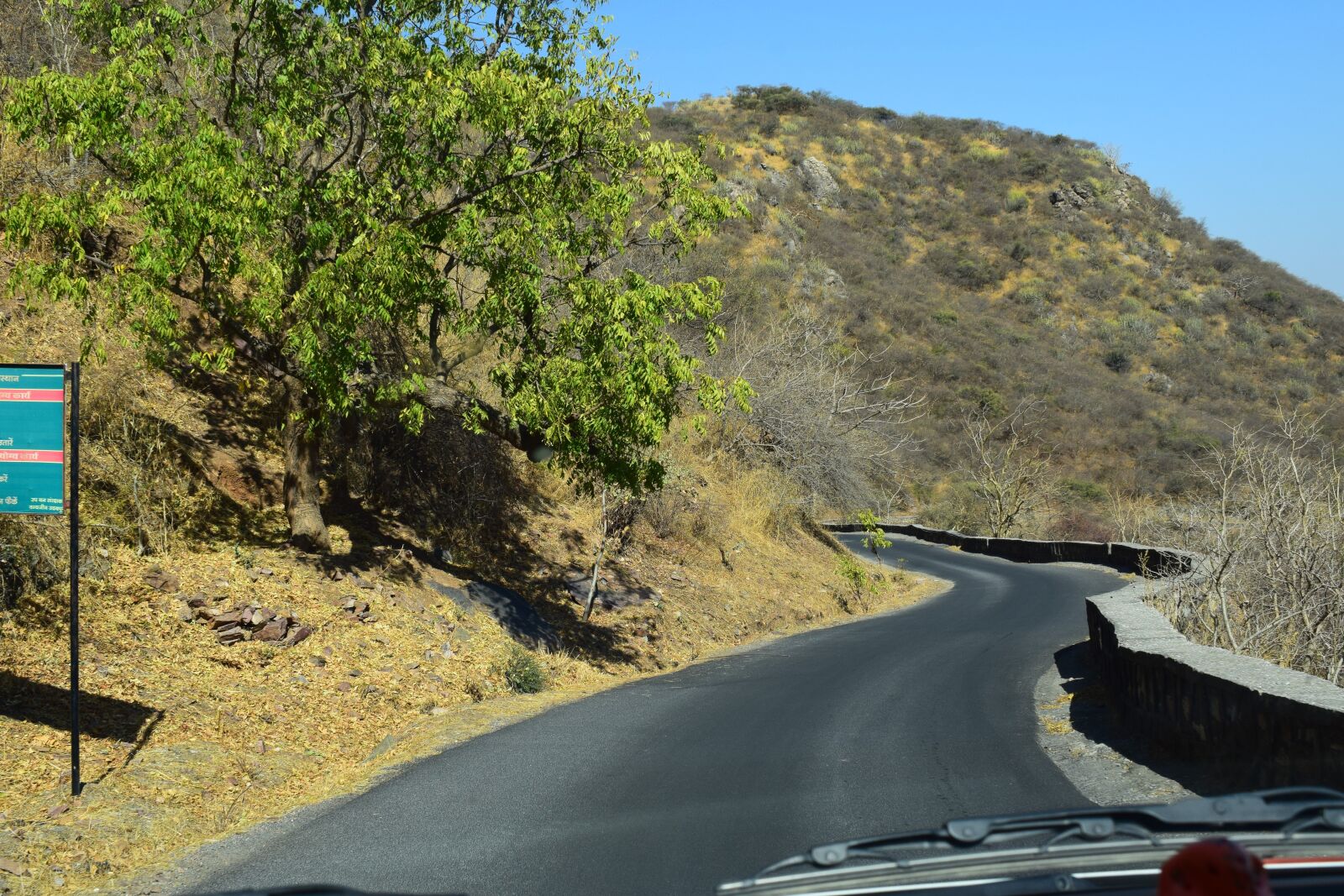 Nikon D5300 sample photo. Nature, tree, road photography