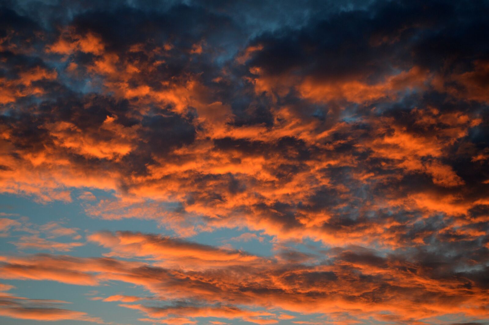 Nikon D3200 sample photo. Sunset, orange, blue photography