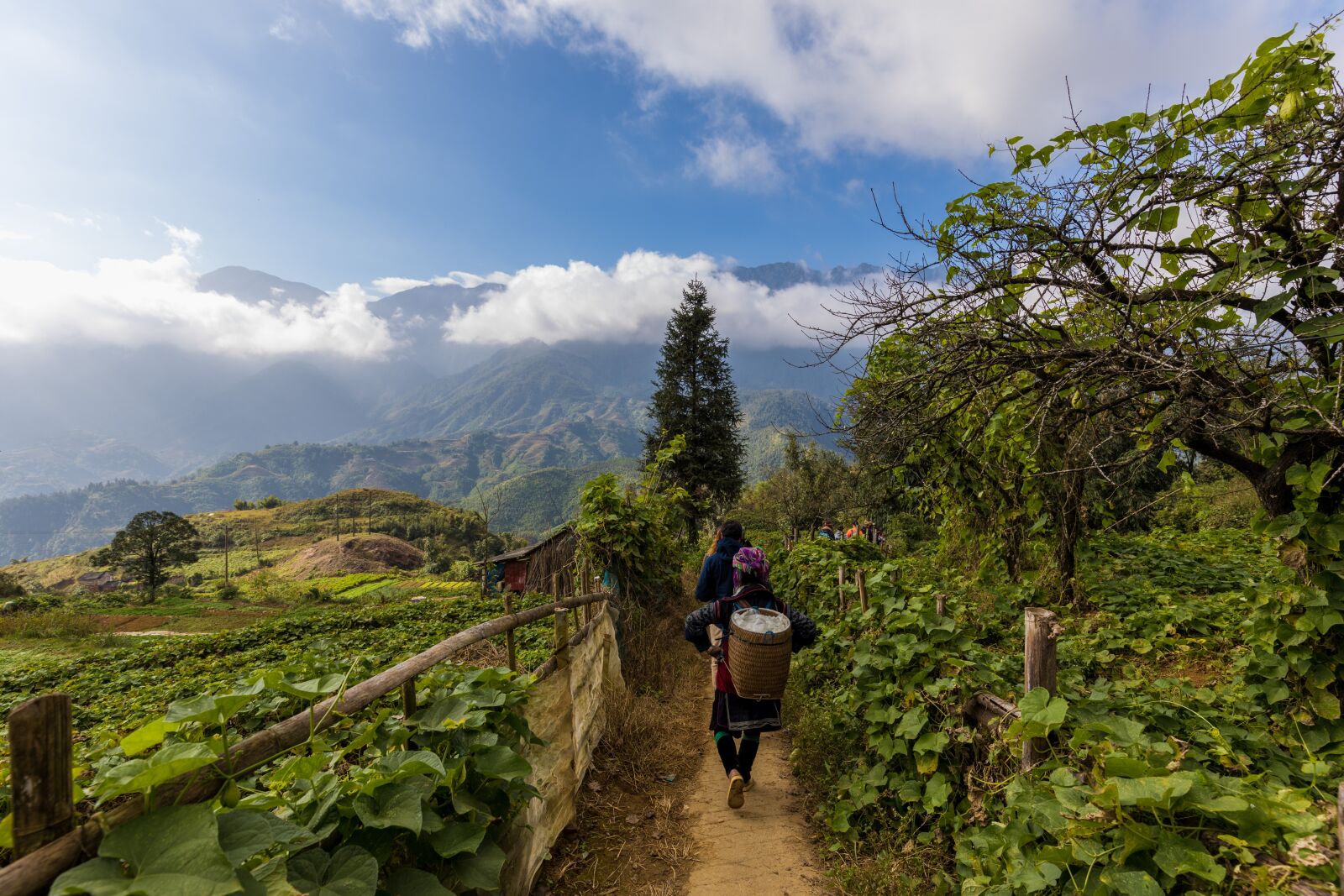 Canon EF 16-35mm F4L IS USM sample photo. Vietnam, sapa, north vietnam photography
