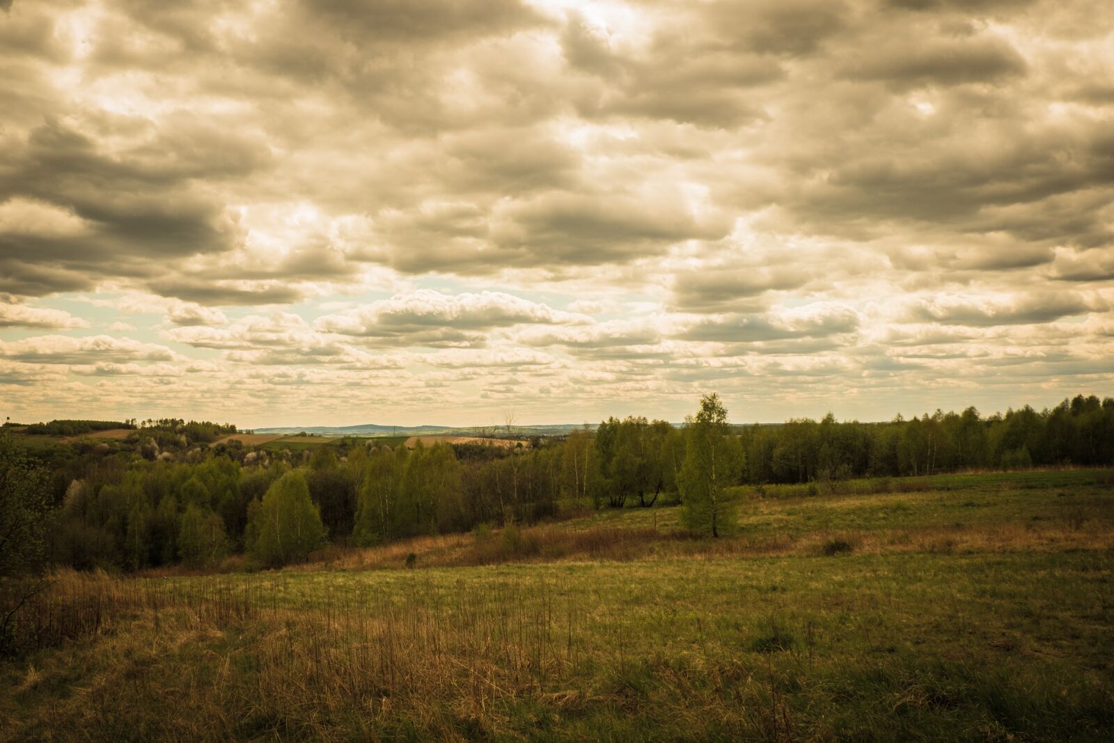 Fujifilm X-T10 sample photo. Landscape, poland, sky photography
