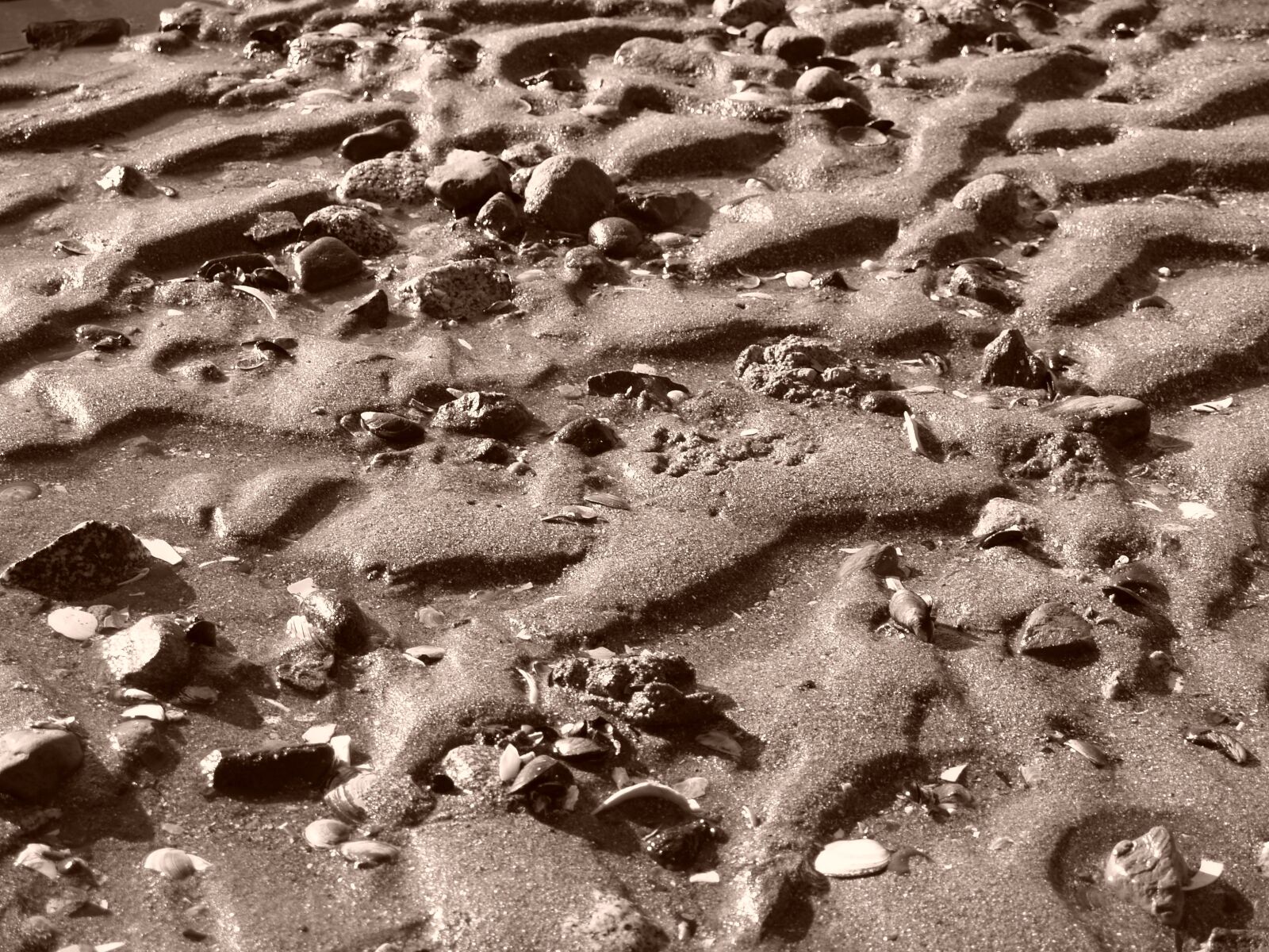 Olympus E-500 (EVOLT E-500) sample photo. Sand, ocean, beach photography