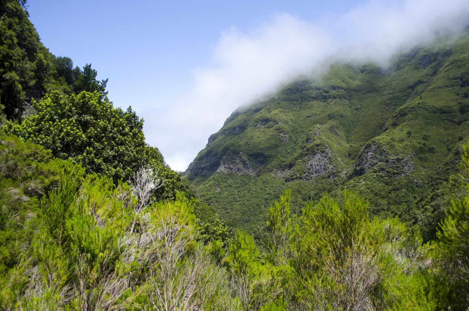 Nikon D5100 sample photo. Sky, mountains, clouds photography