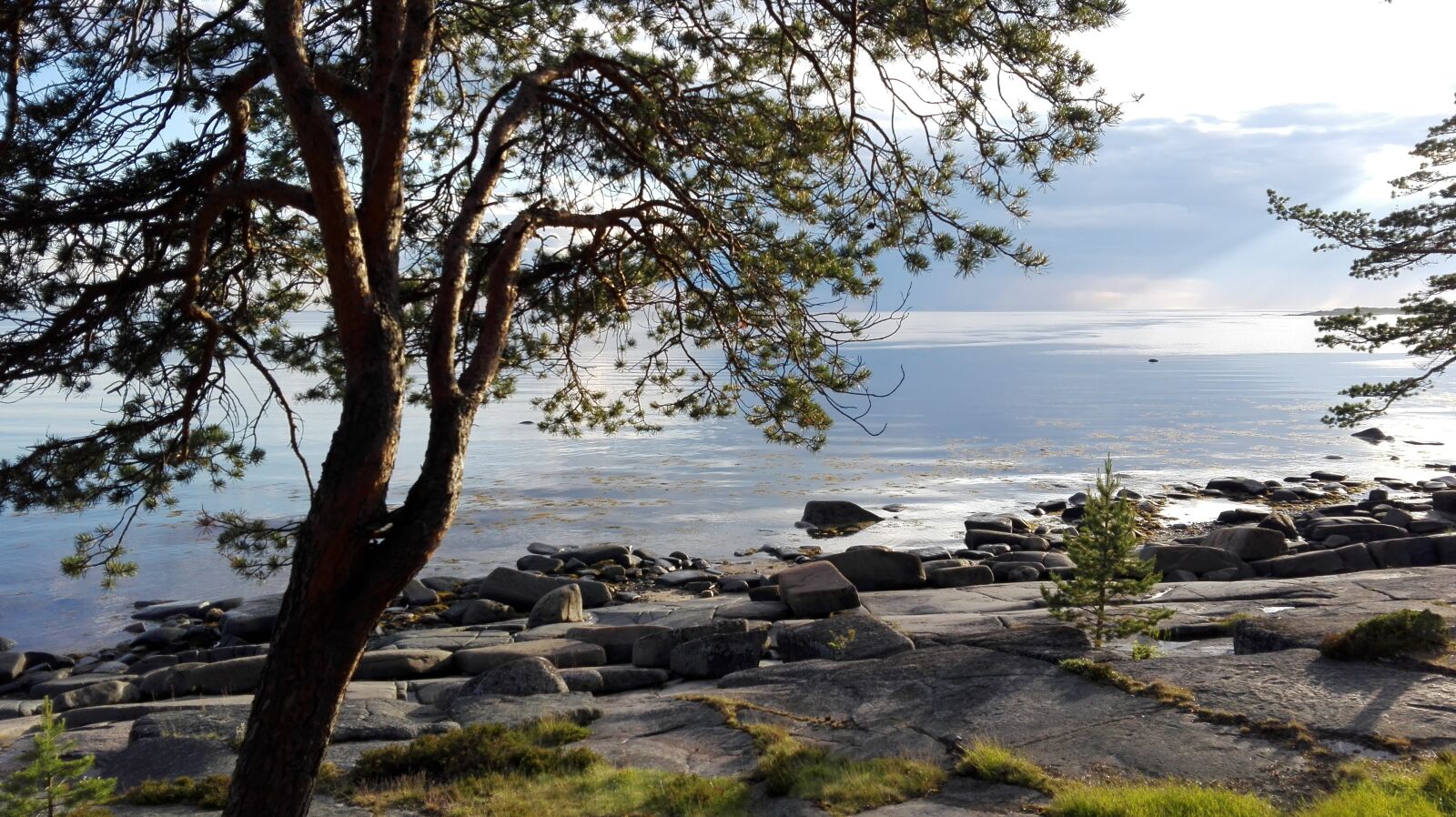 HUAWEI P8 Lite sample photo. North, onega, white sea photography