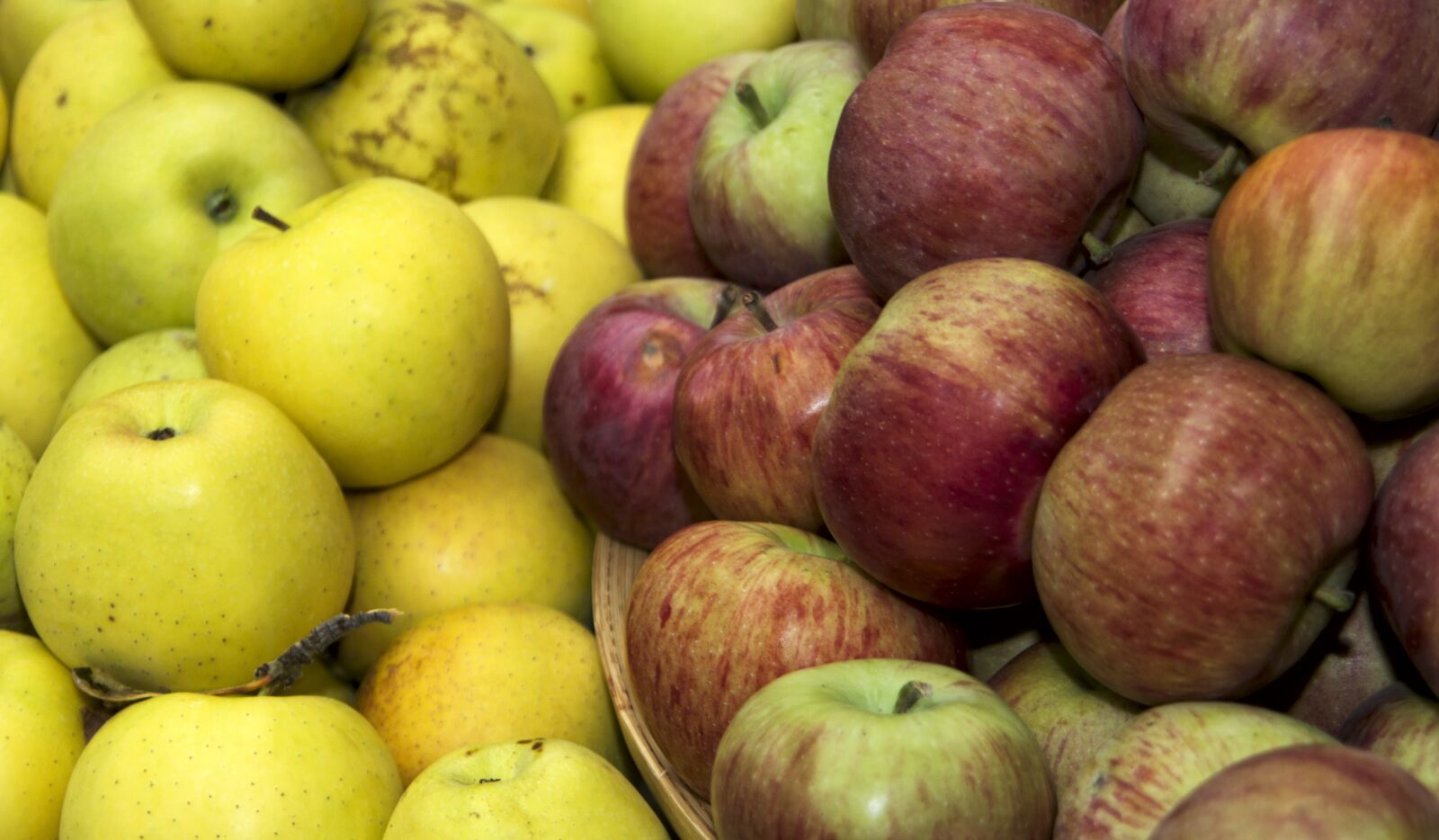 Canon EOS 600D (Rebel EOS T3i / EOS Kiss X5) sample photo. Apples, fruit, eco photography