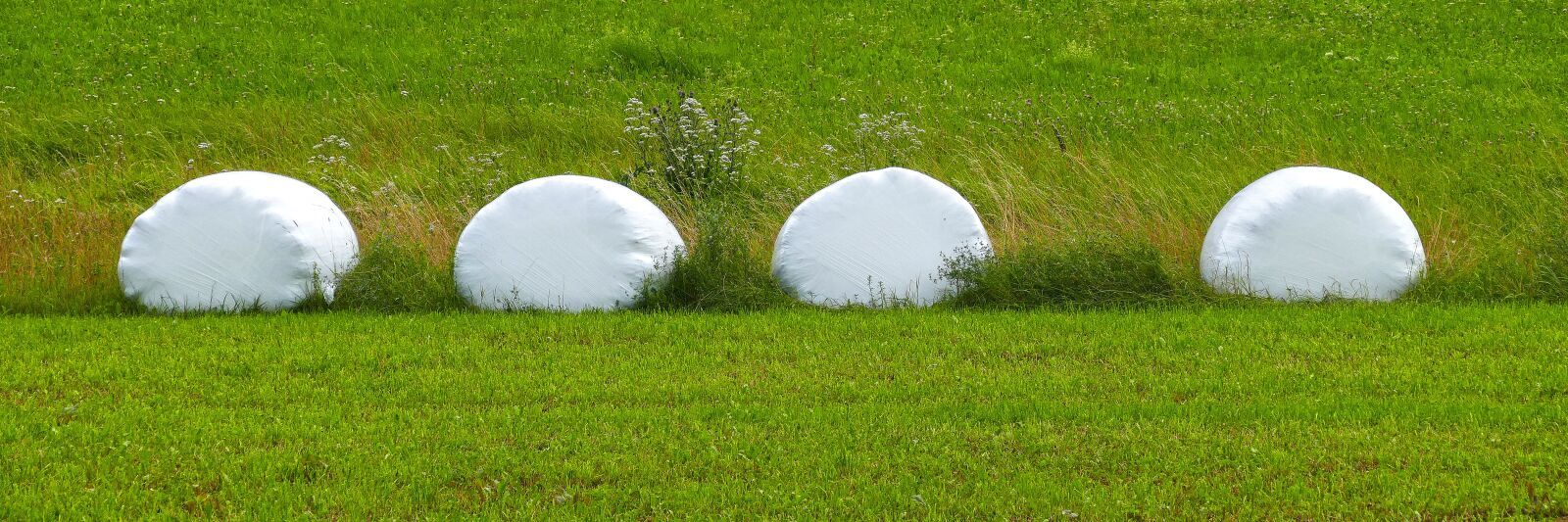 Panasonic Lumix DMC-FZ1000 sample photo. Bale, silage bales, silage photography