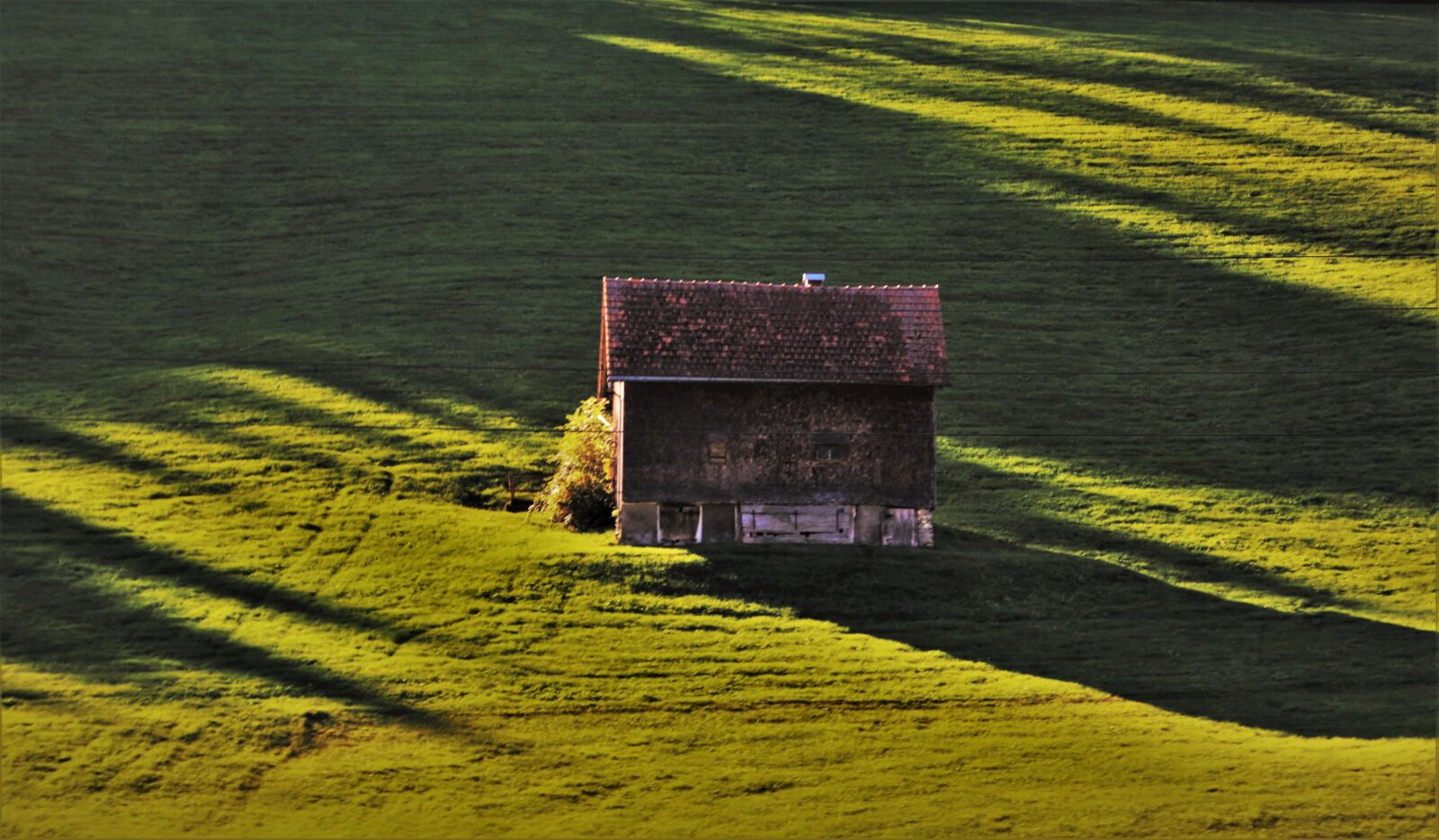 Canon EOS 80D sample photo. Dawn, meadow, shadow photography