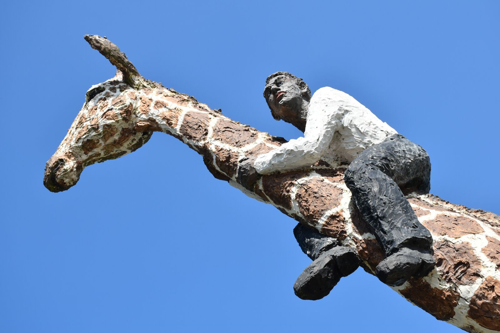 Nikon D5500 sample photo. Hagenbeck, hamburg, giraffe photography