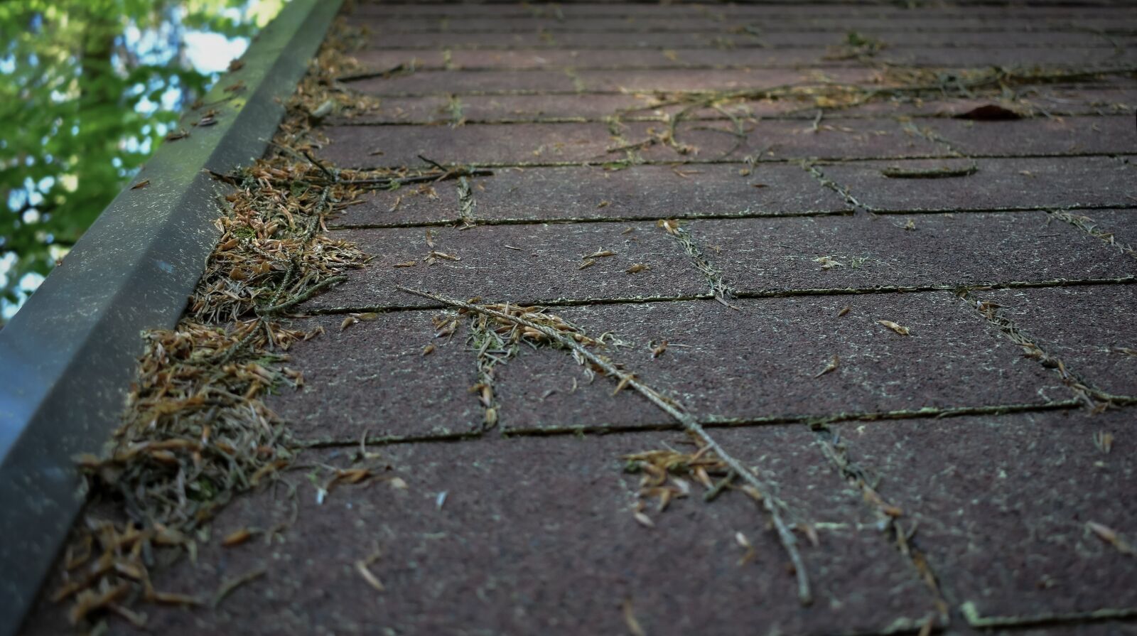 Nikon D3400 sample photo. Roof, pattern, texture photography