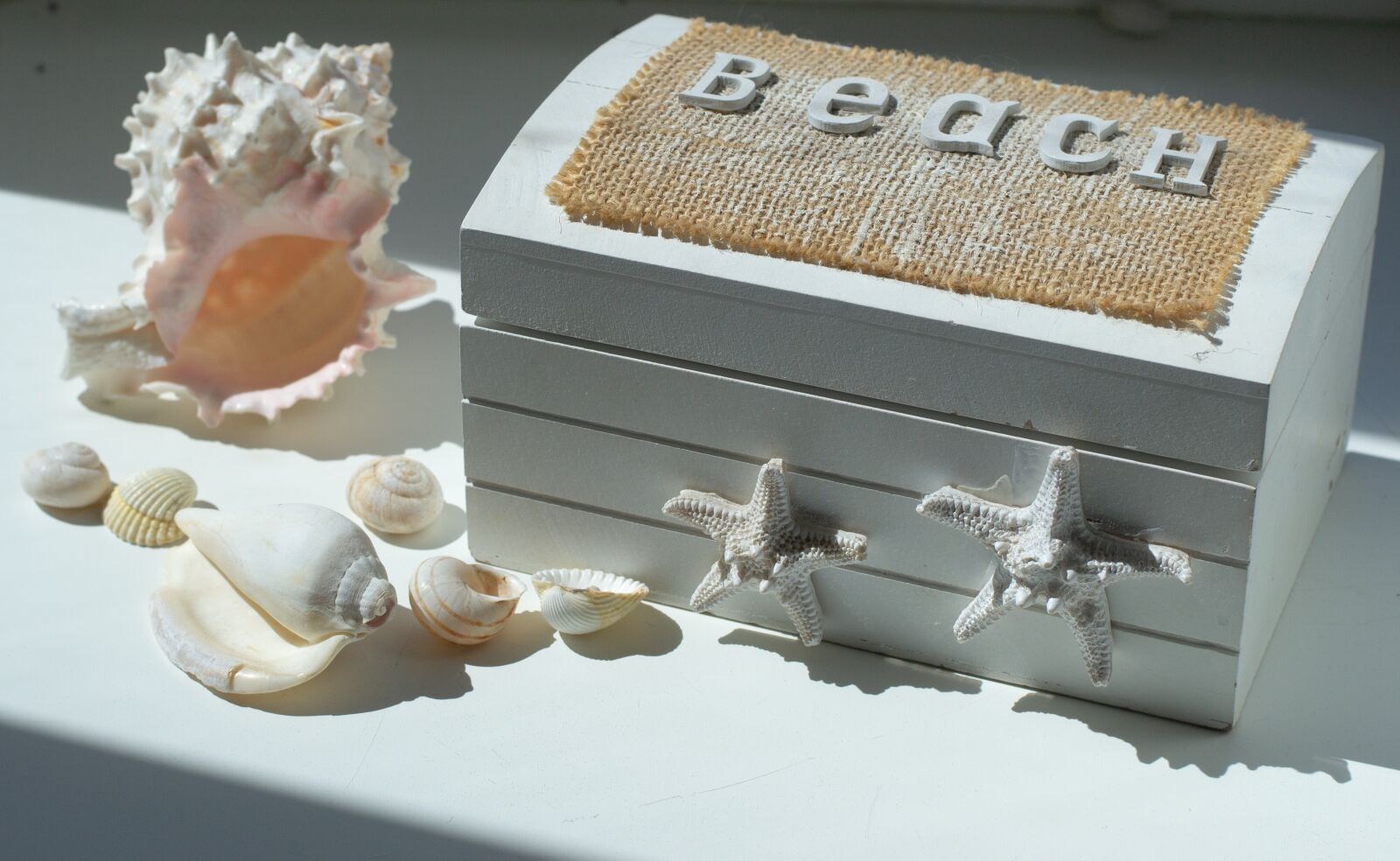 Nikon D3100 sample photo. Seashells, casket, beach photography