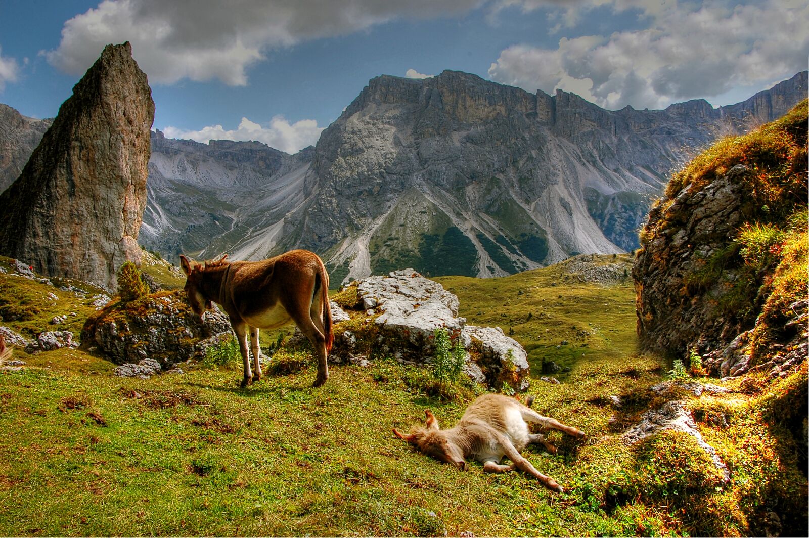 Nikon D40 sample photo. Dolomites, val gardena, nature photography