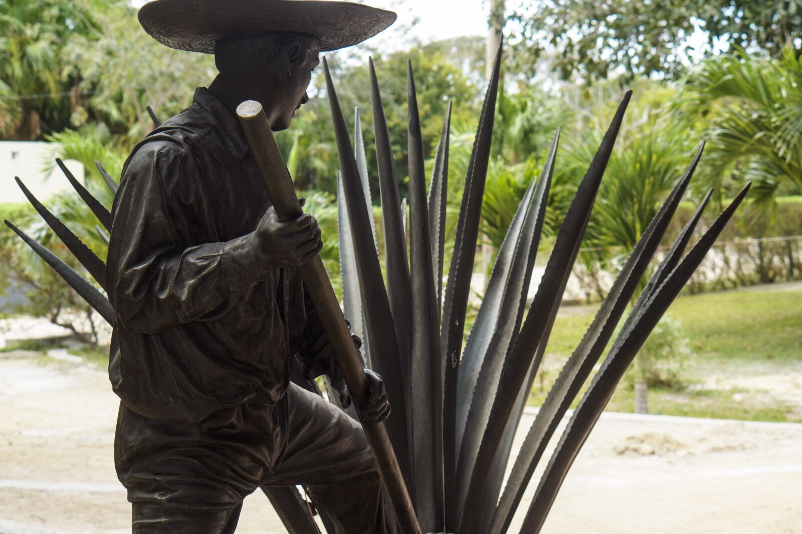 Sony Alpha a3000 sample photo. Tulum, statue, mexico photography